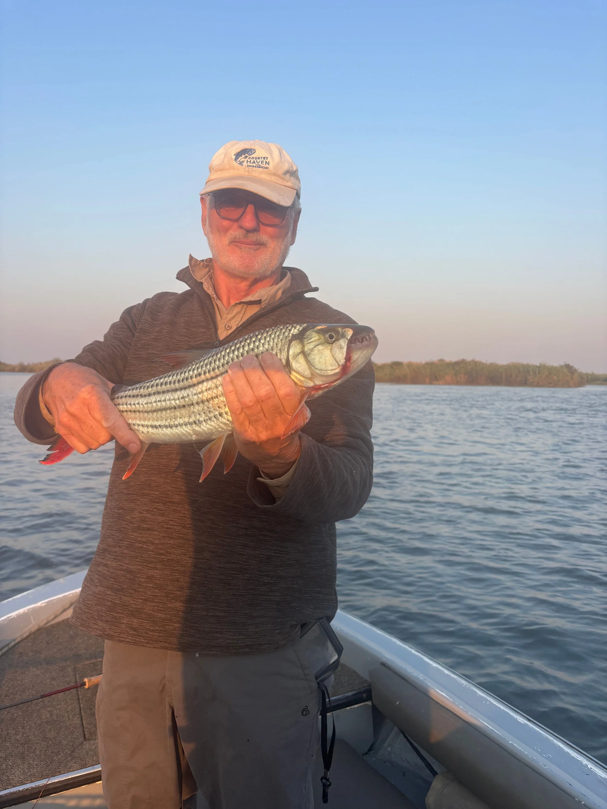 Richard Nye Tigerfish.jpeg