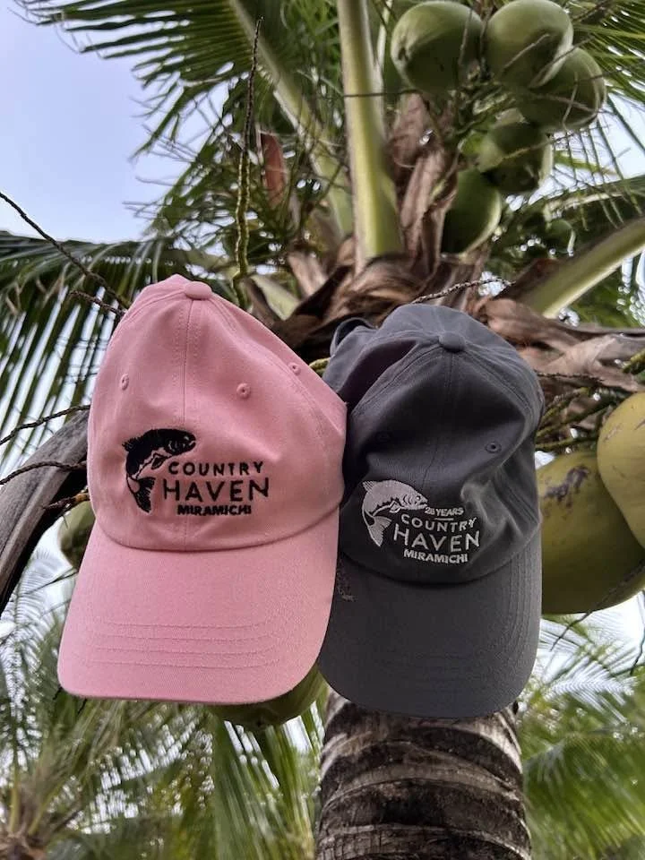 Two Hts like the coconuts on the Bahamas