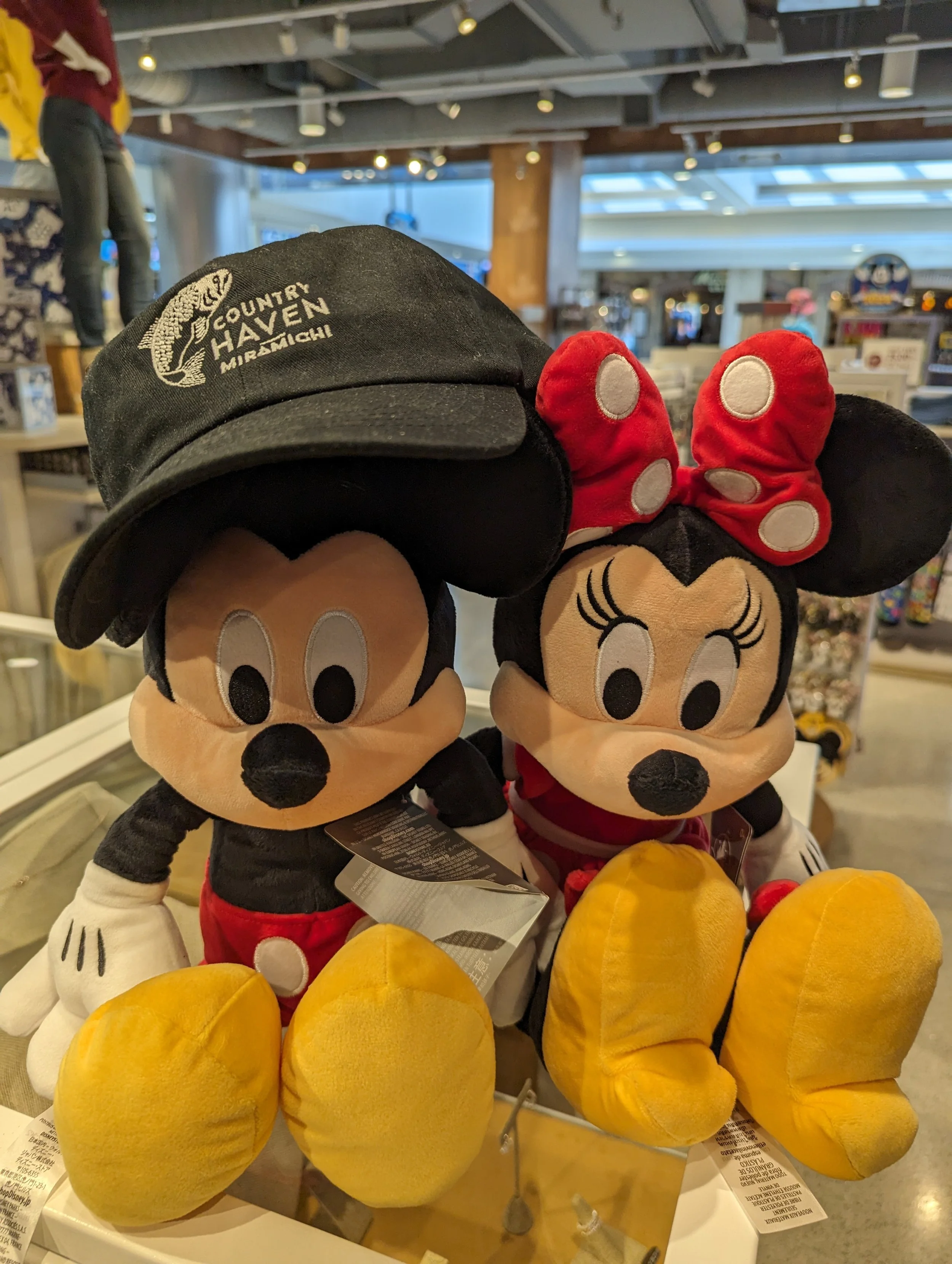 Mickey and his Hat in Orlando, FL