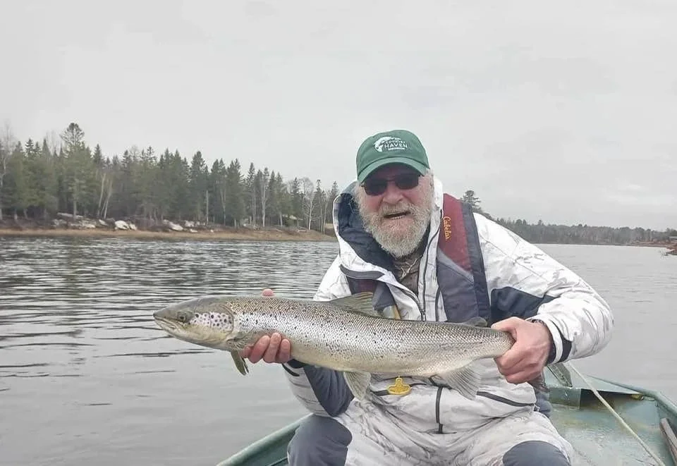 Wild Bill, Ontario, and Hat in action