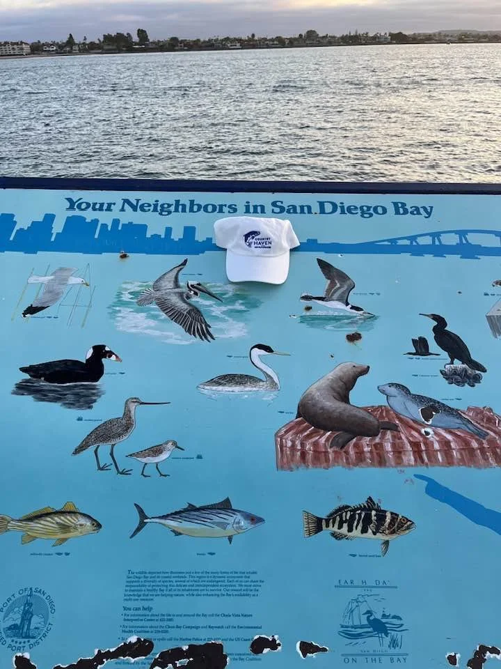 San Diego Bay, CA, with Hat