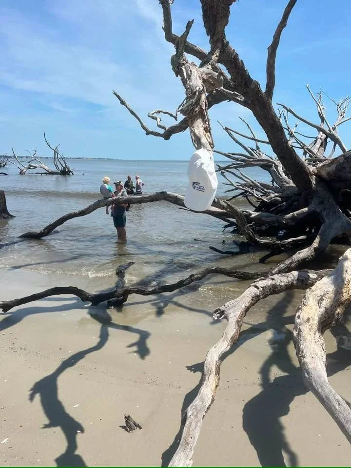 Hat at Driftwood Beach on Jekyll Island, GA