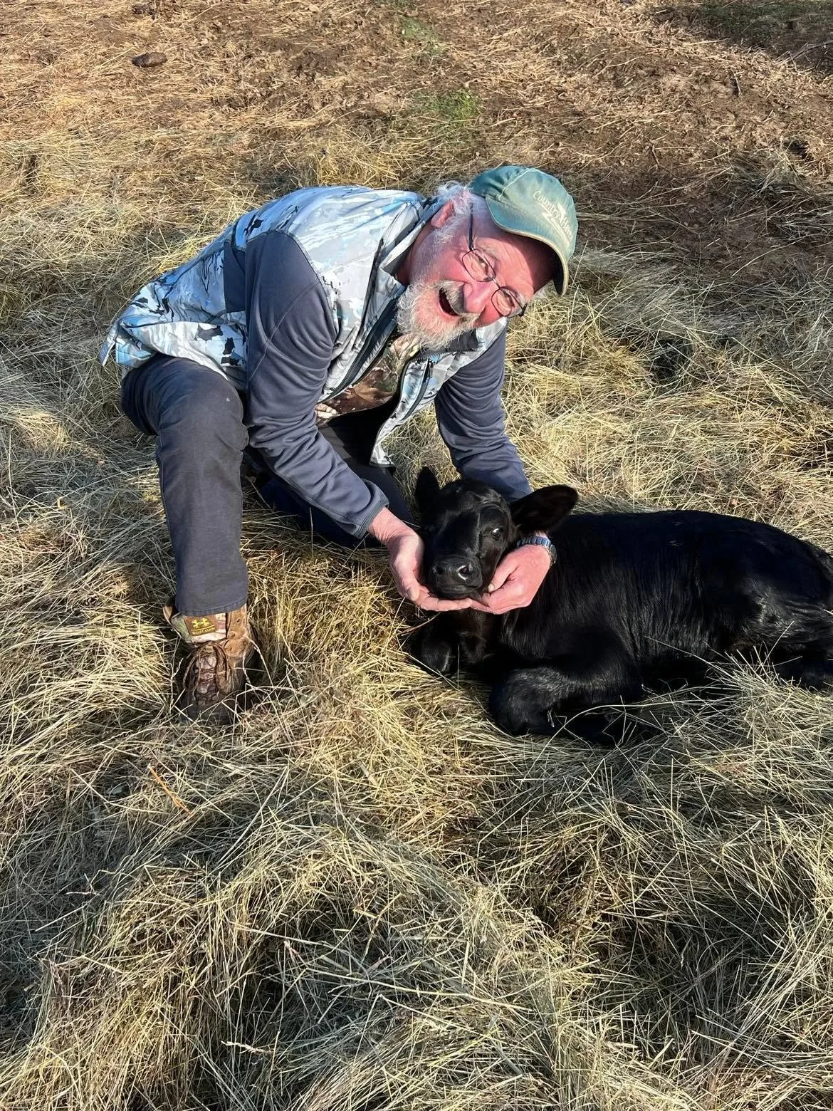 Wild Bill, ON, with Black Beauty