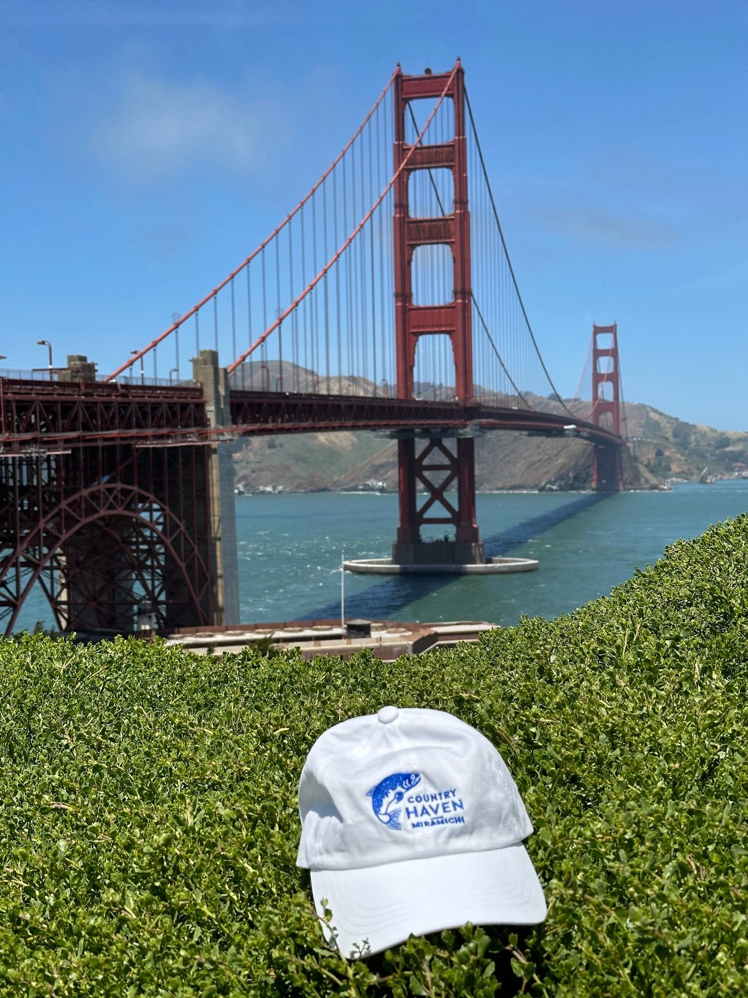 Hat really likes the Golden Gate Bridge again and again
