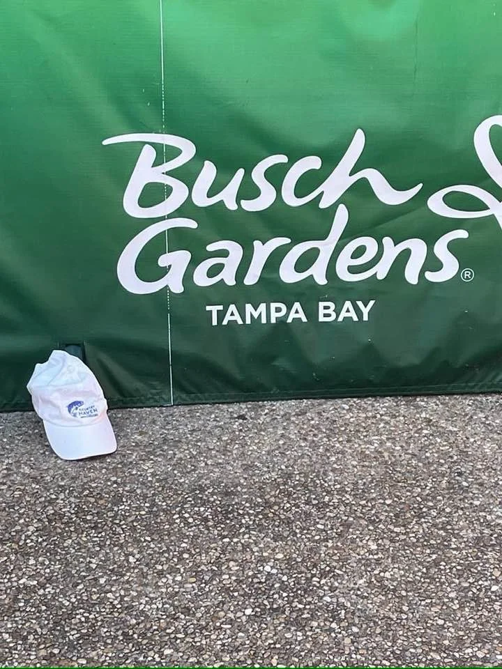 Hat visits Busch Gardens in Tampa, FL