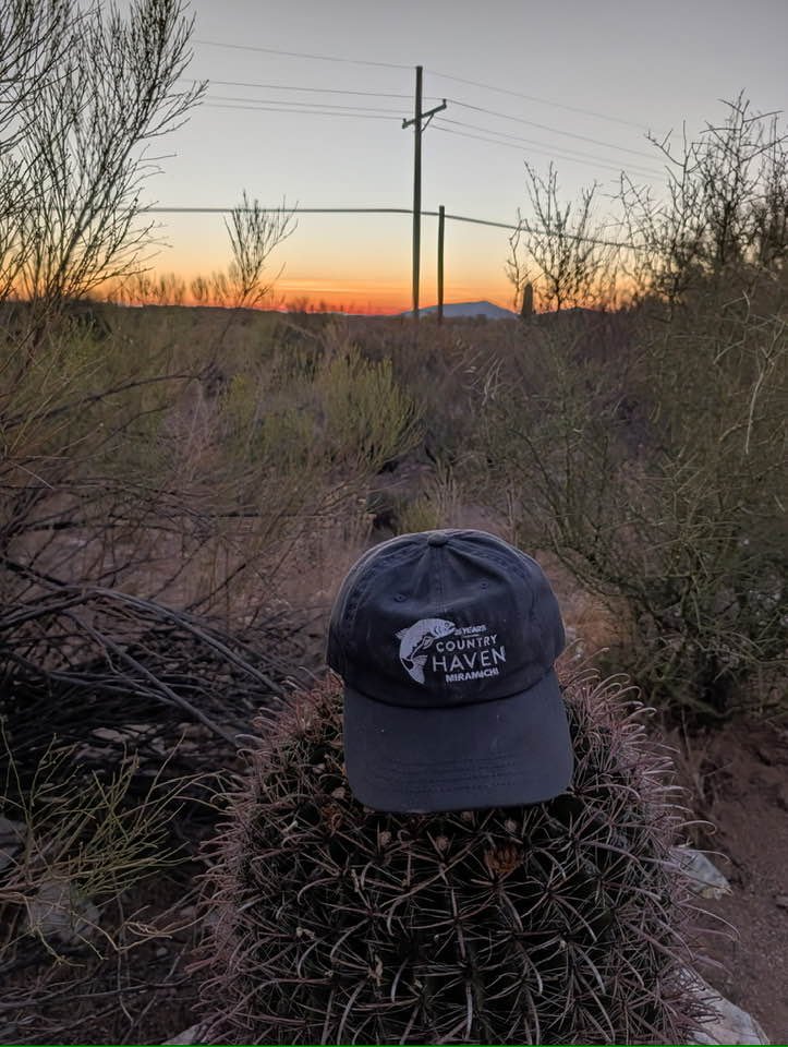 Sunset with hat at Desert in Tuscon, AZ