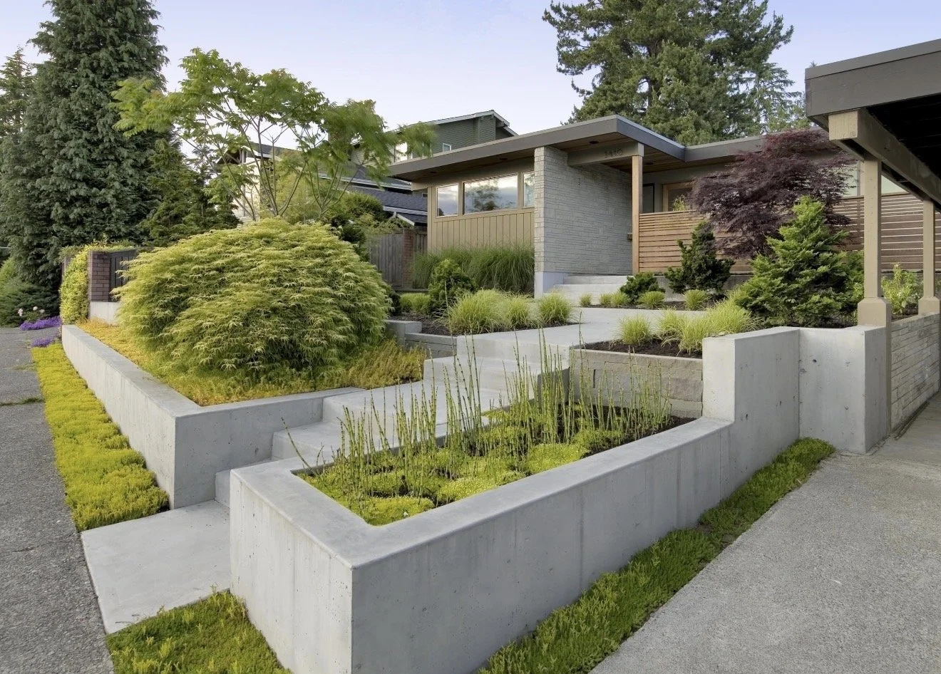 Modern front yard with multi-level concrete planters filled with various shrubs and grasses, leading to a contemporary house with large windows and a mix of wood and brick exterior, surrounded by tall trees and greenery.