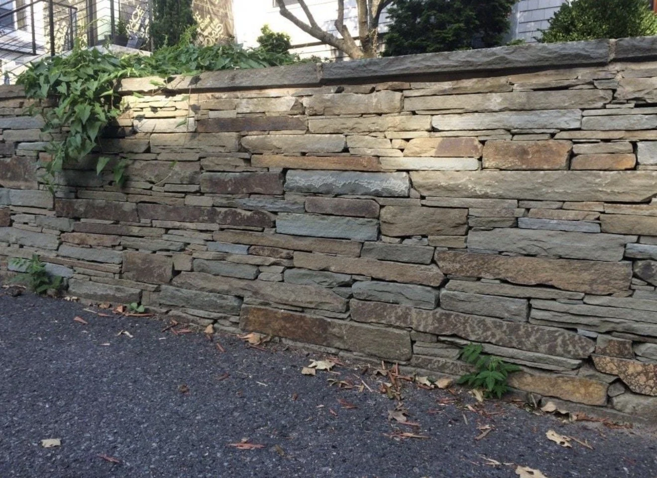 A stone retaining wall made of flat, irregularly shaped rocks with some green plants growing at the base and on top, with a pavement in front and a tree and buildings visible in the background.