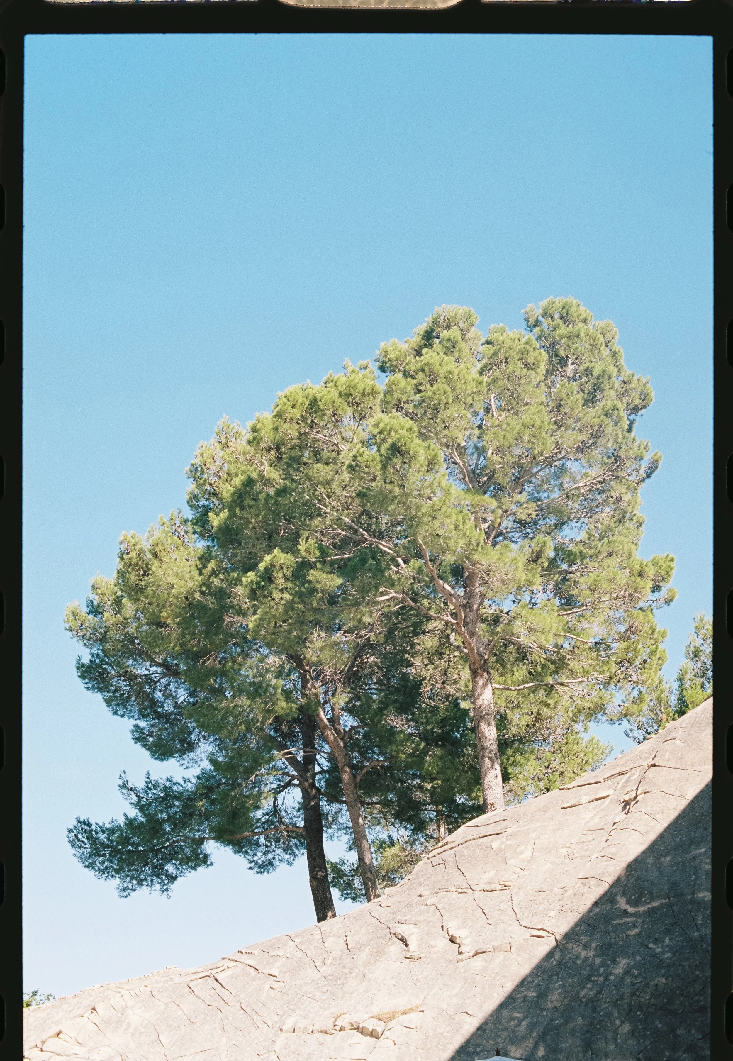 mallorca-hochzeit-can-axartell-analog-foto-2.jpg
