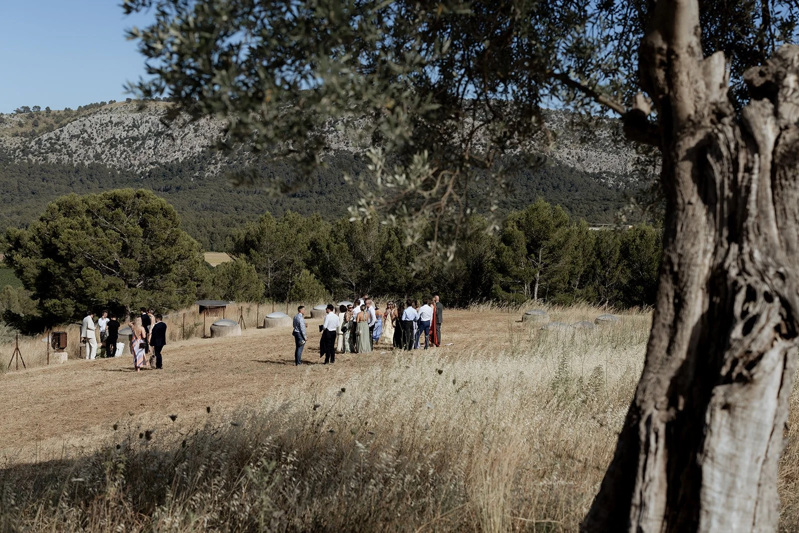 hochzeit-mallorca-can-axartell-48.jpg