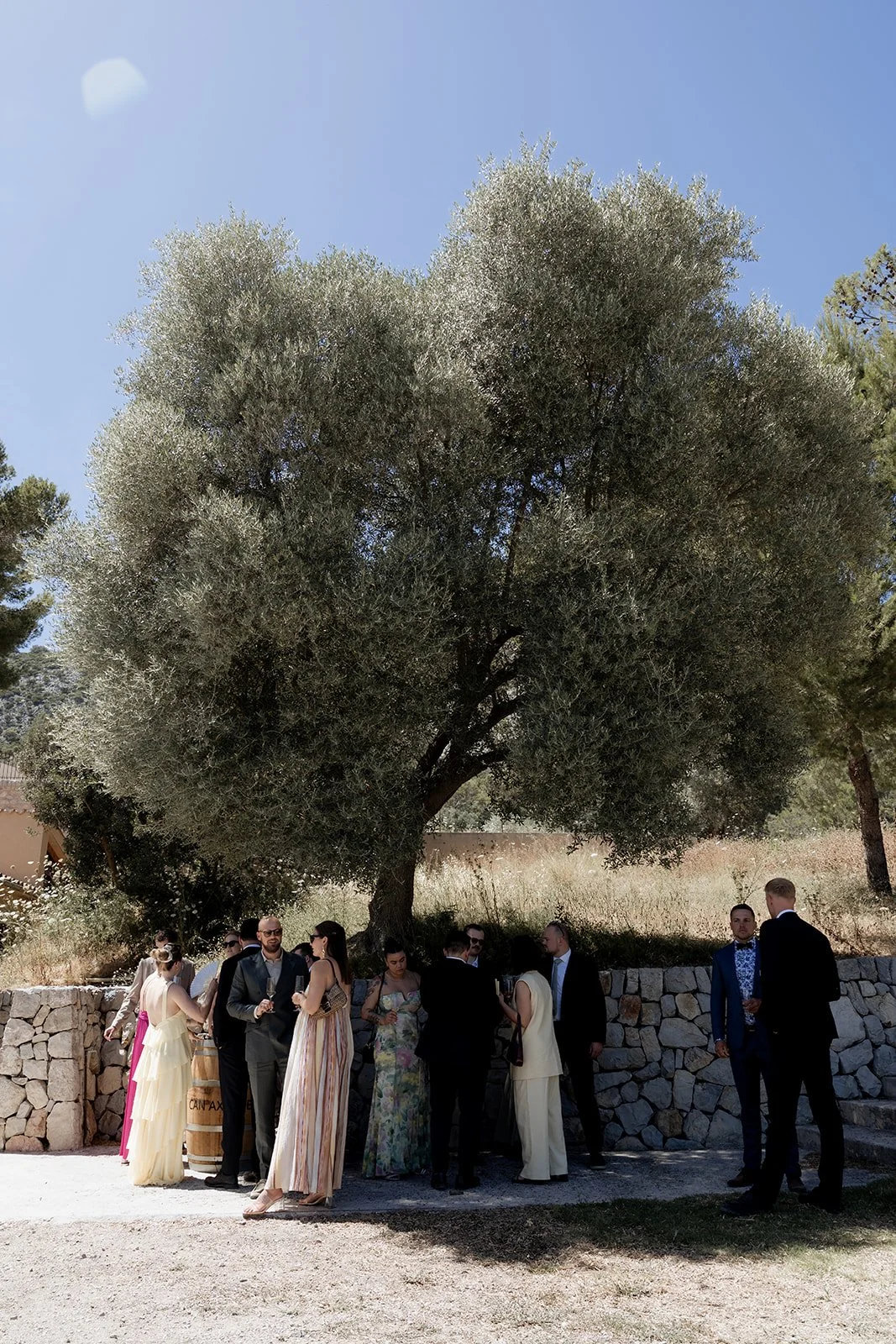 hochzeit-mallorca-can-axartell-17.jpg
