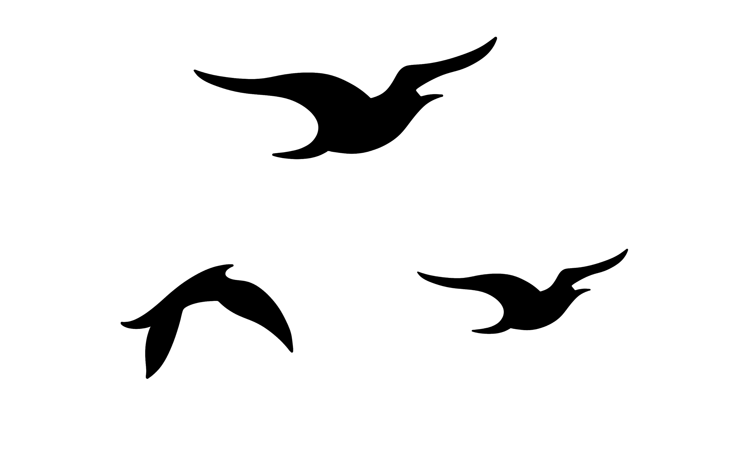 Outline drawing of four flying birds on a black background.