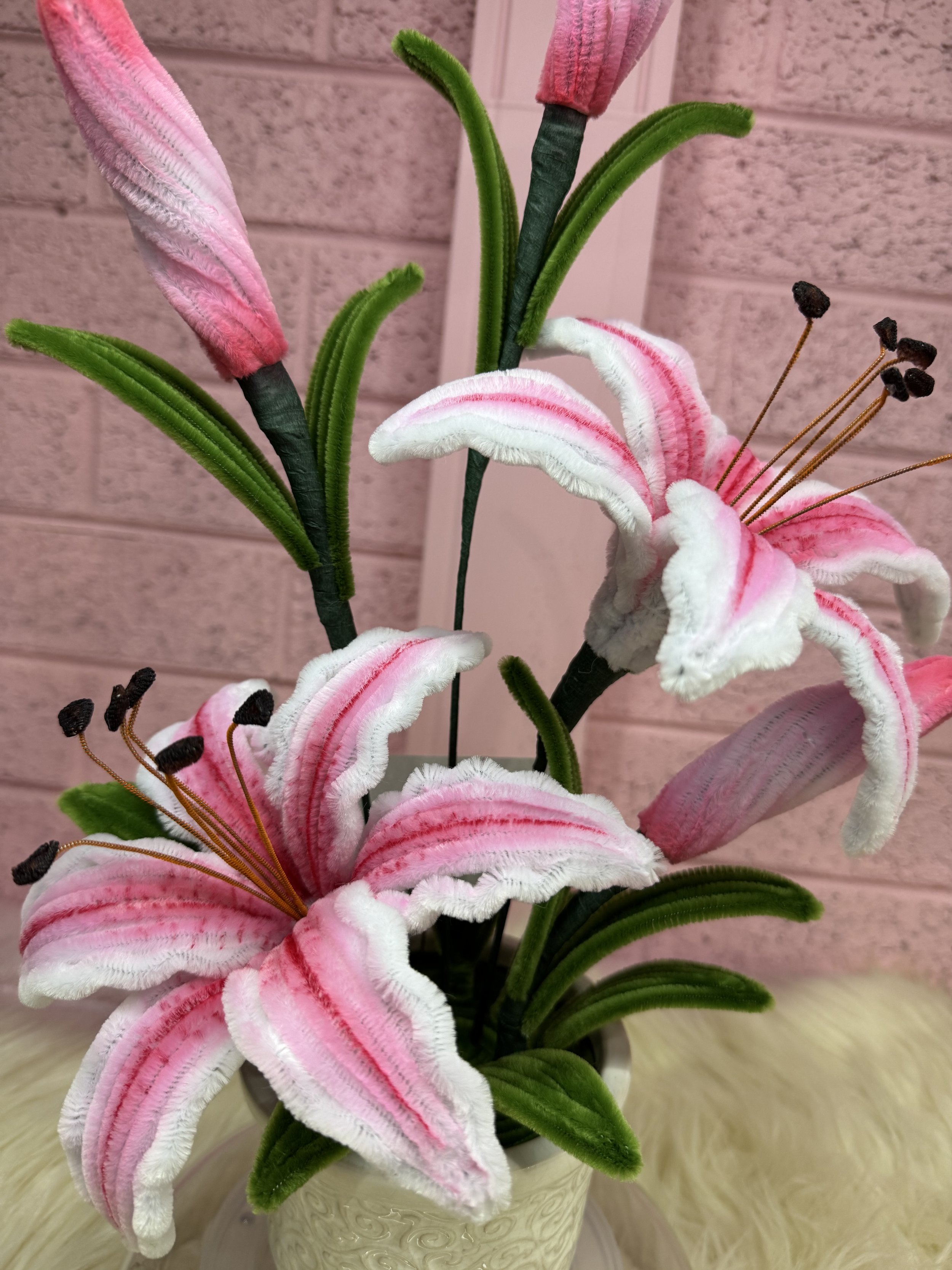 IMG_1377.jpeg