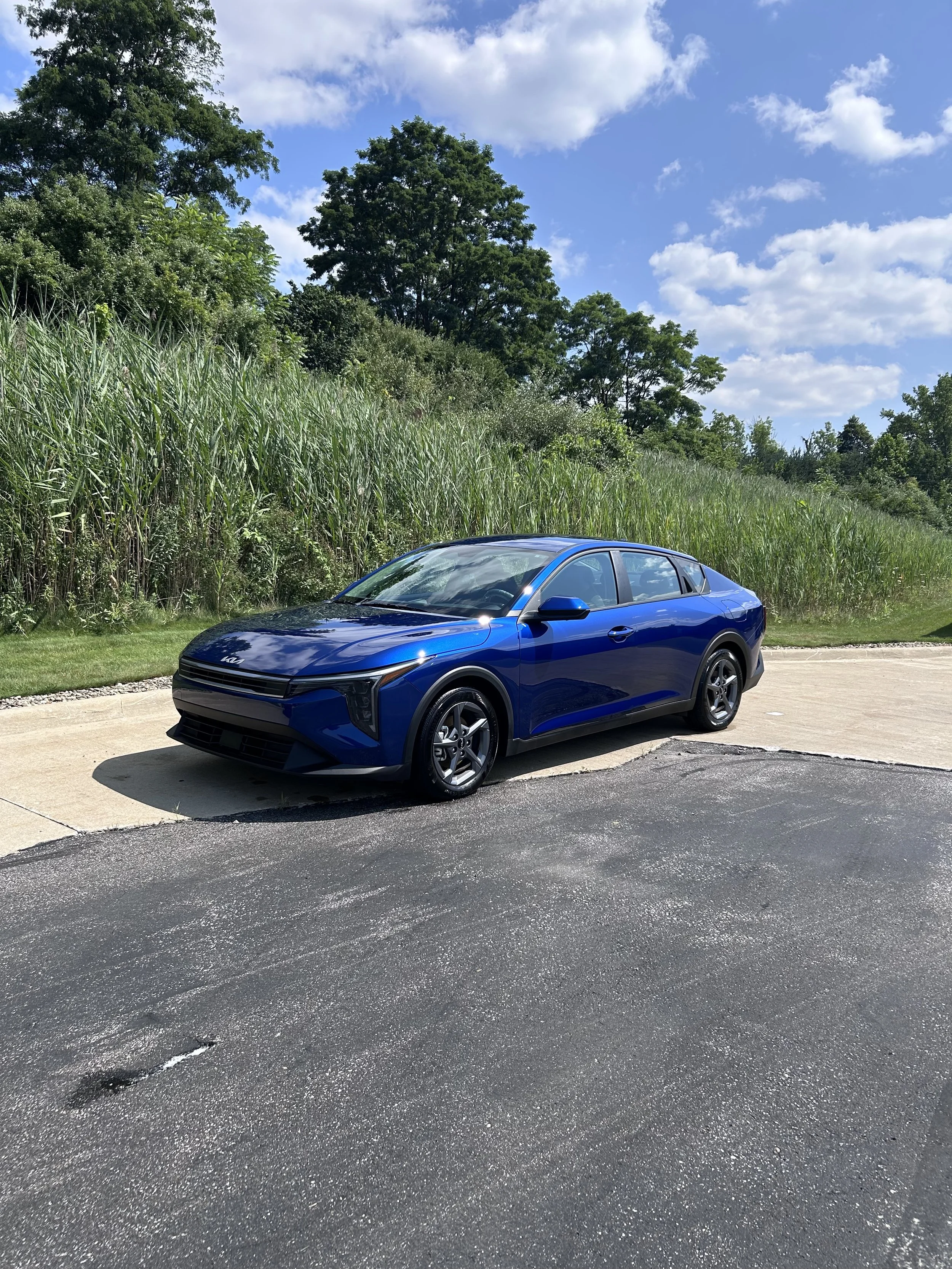 A blue car parked on a concrete driveway beside green grass and dense greenery with trees, under a partly cloudy sky.