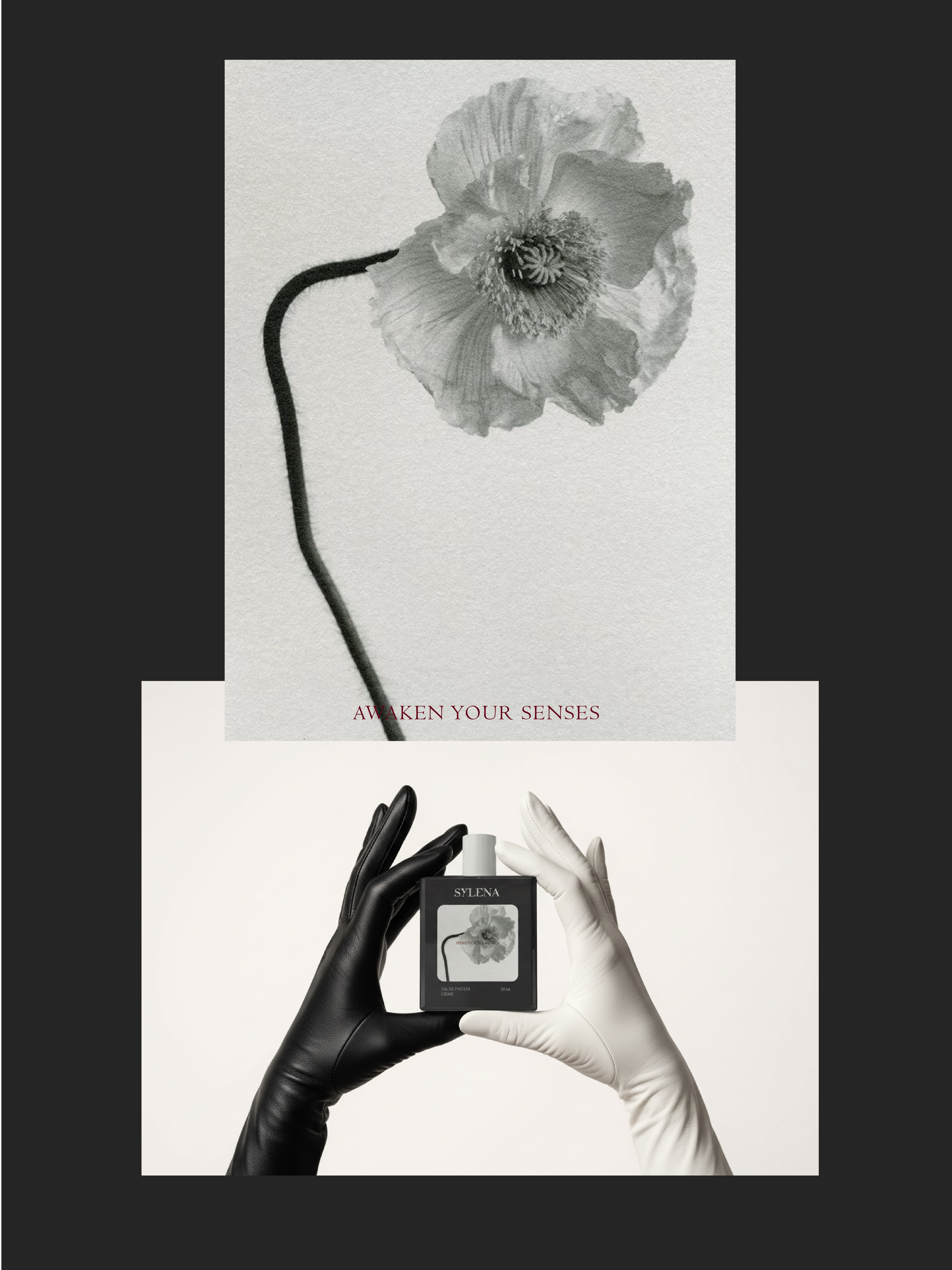 Sylena Awaken Your Senses poster with a poppy, above gloved hands holding the perfume