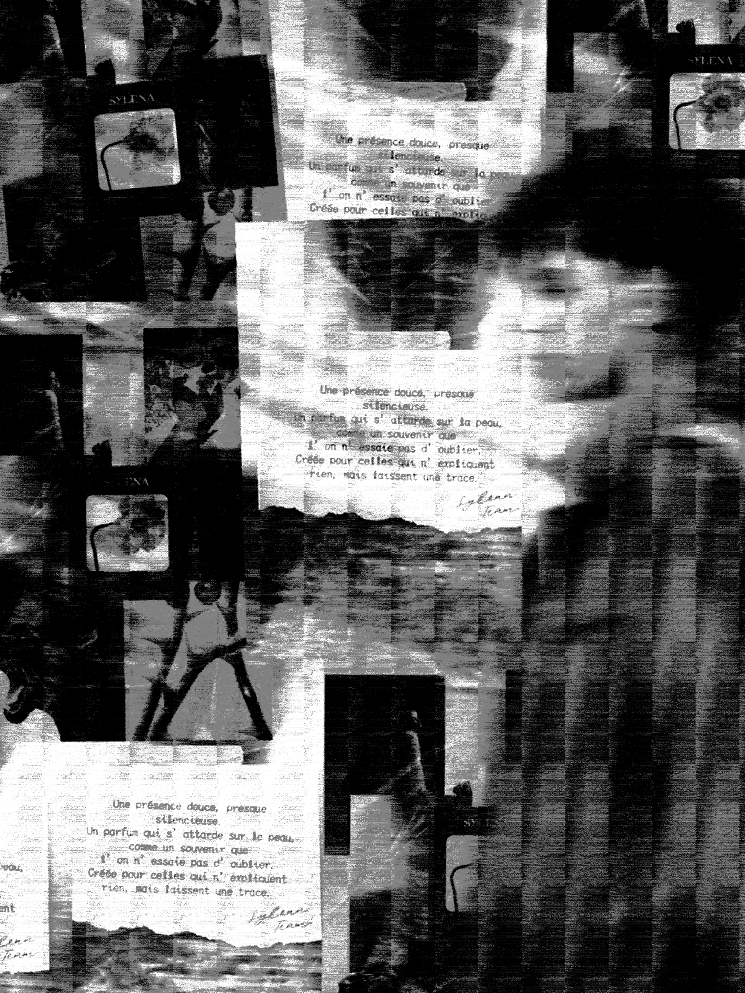 Black and white Sylena editorial collage of torn paper, typewritten text and the perfume bottle