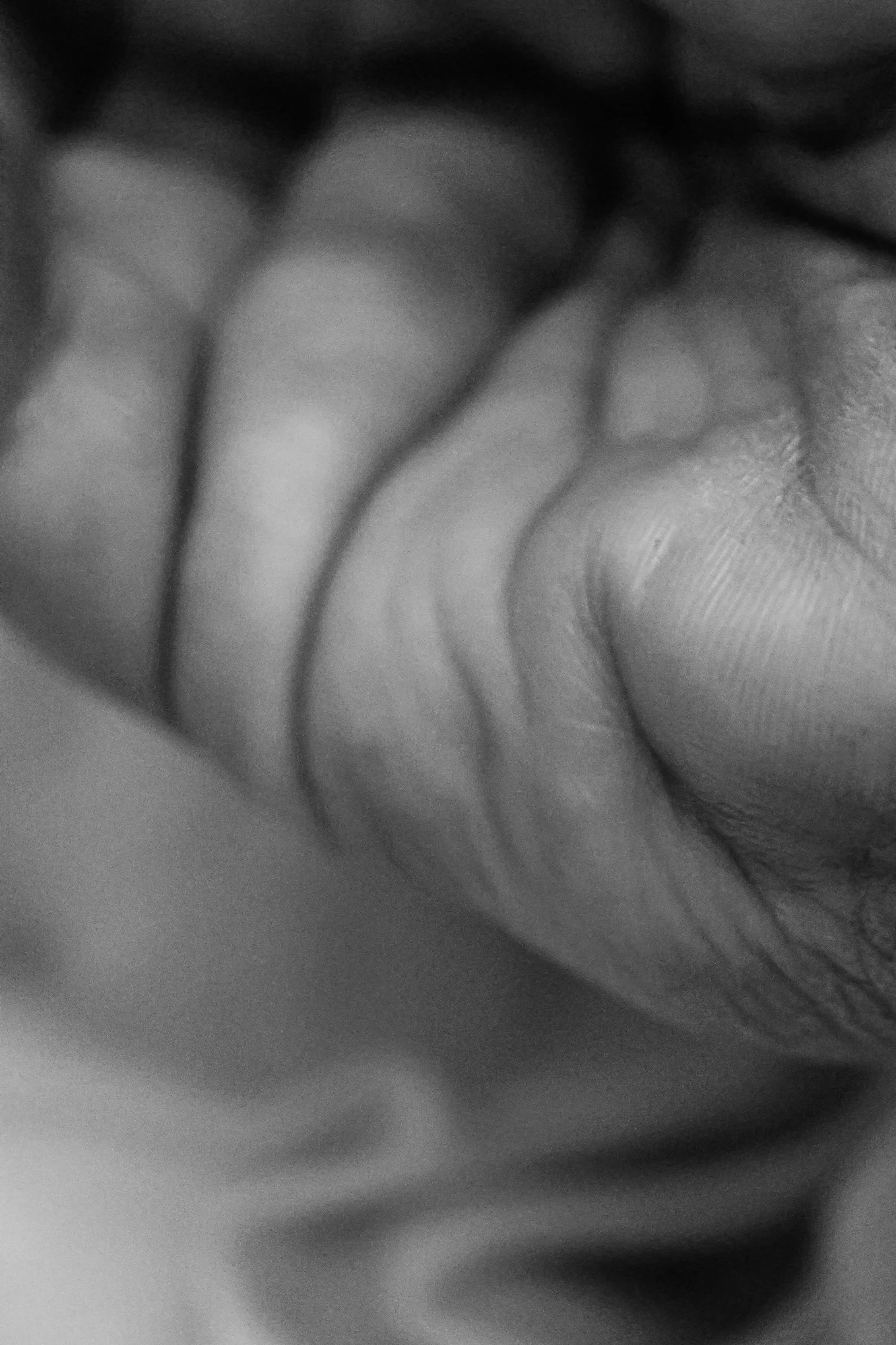 Close-up of a hand, beautiful details in the skin, black and white, textured surface.