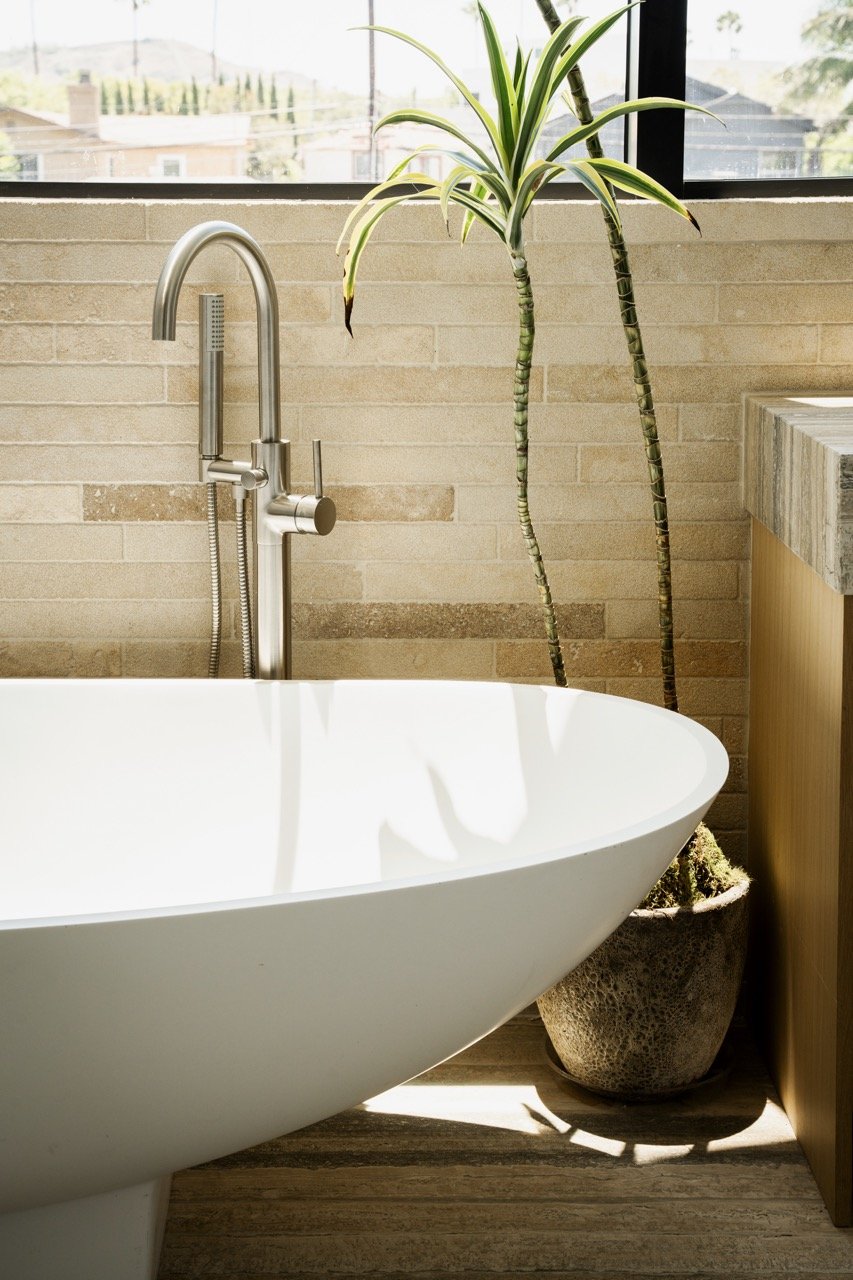 Modern bathroom with a white freestanding bathtub, a stainless steel faucet, and a potted plant with long green and yellow striped leaves next to a large window with a view of rooftops and trees.