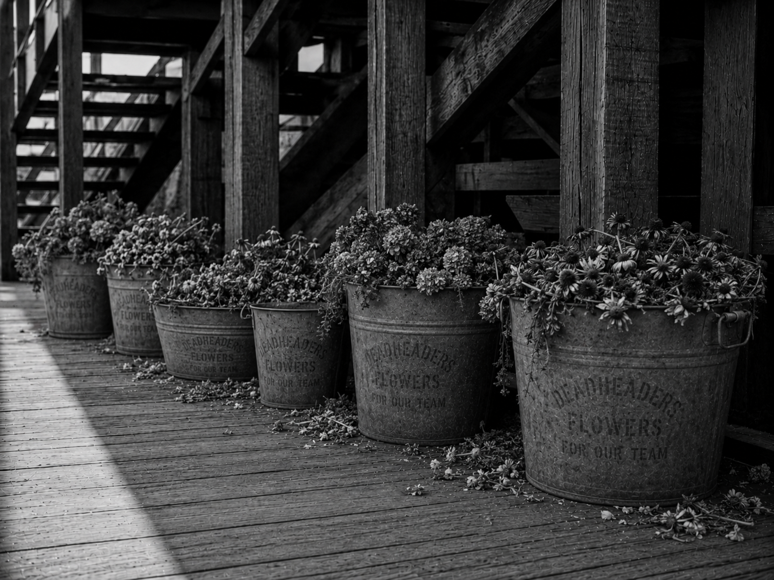 Galvanized Davenport Deadheaders flower buckets lined beneath the West End Park grandstand and filled with donated blooms.