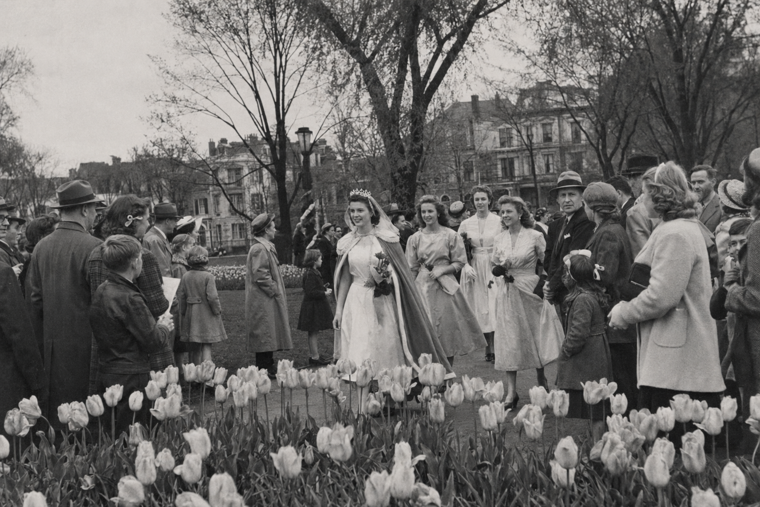 The History of the Albany Tulip Festival