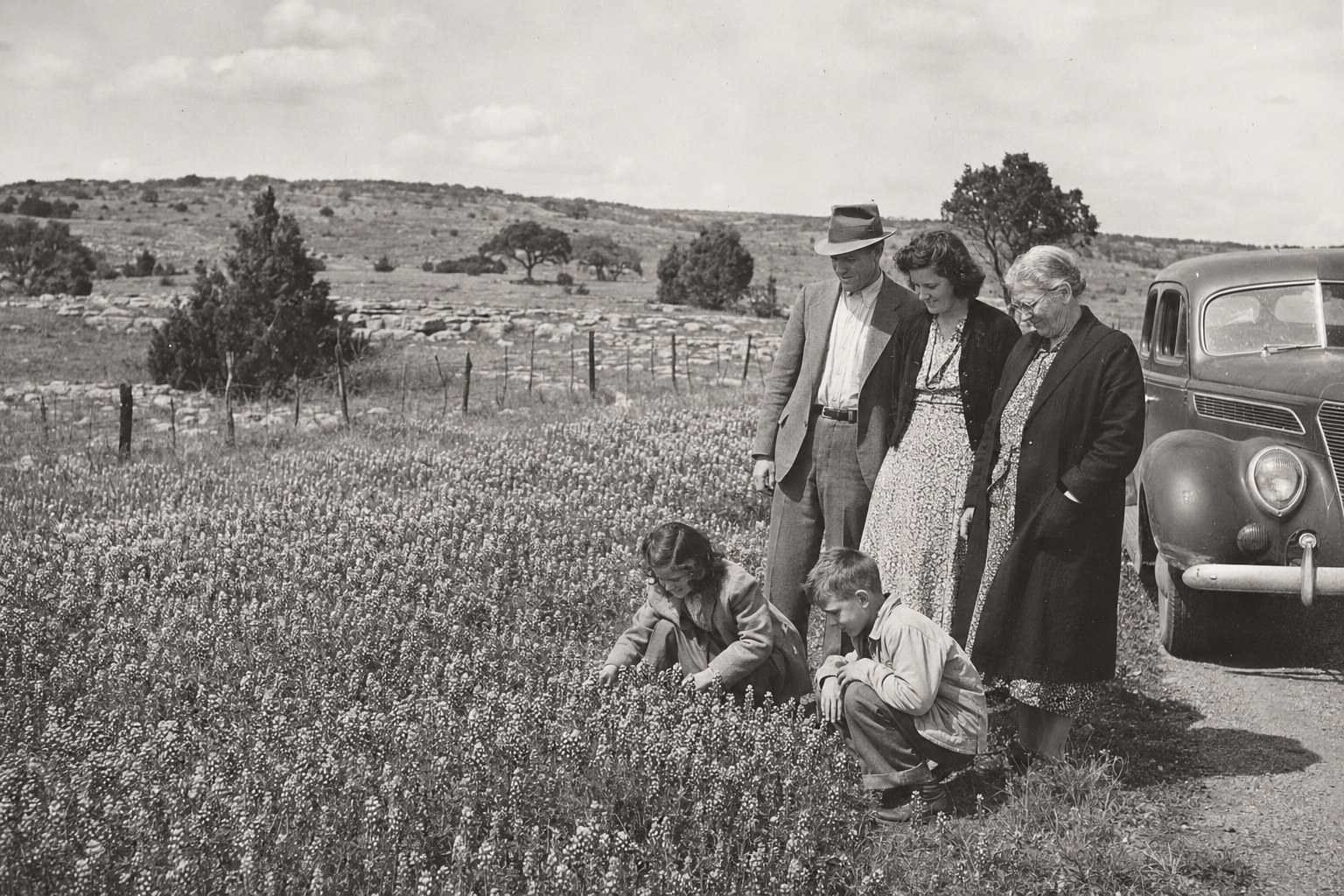 How Burnet Became the Bluebonnet Capital of Texas