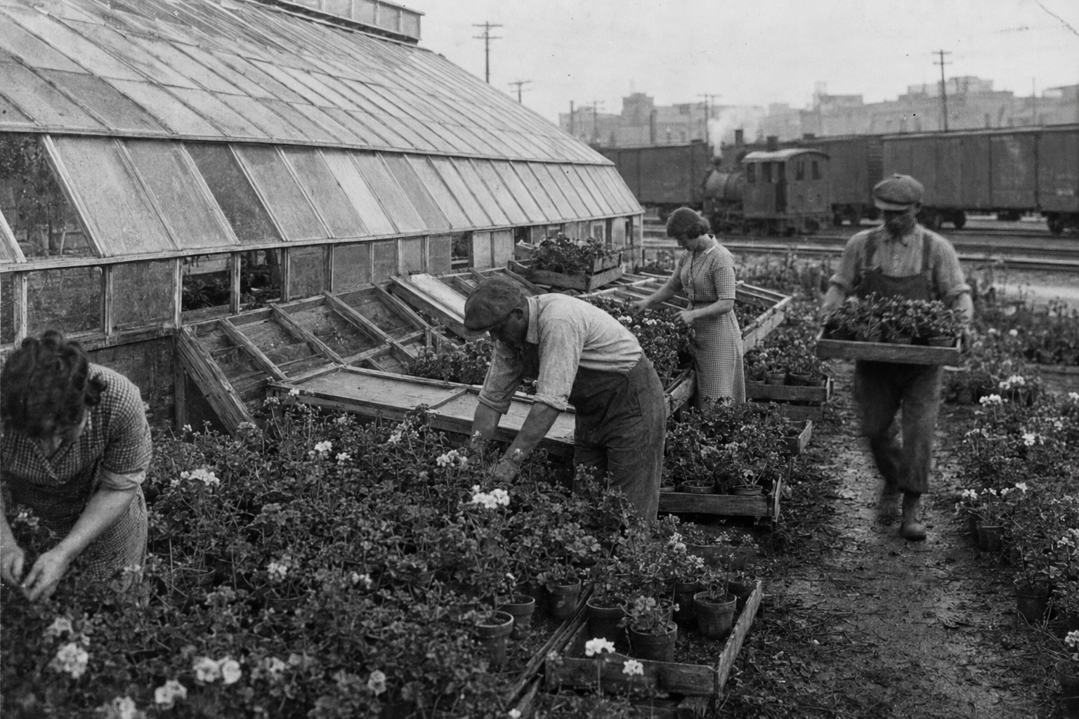 A City of Rails and Gardens