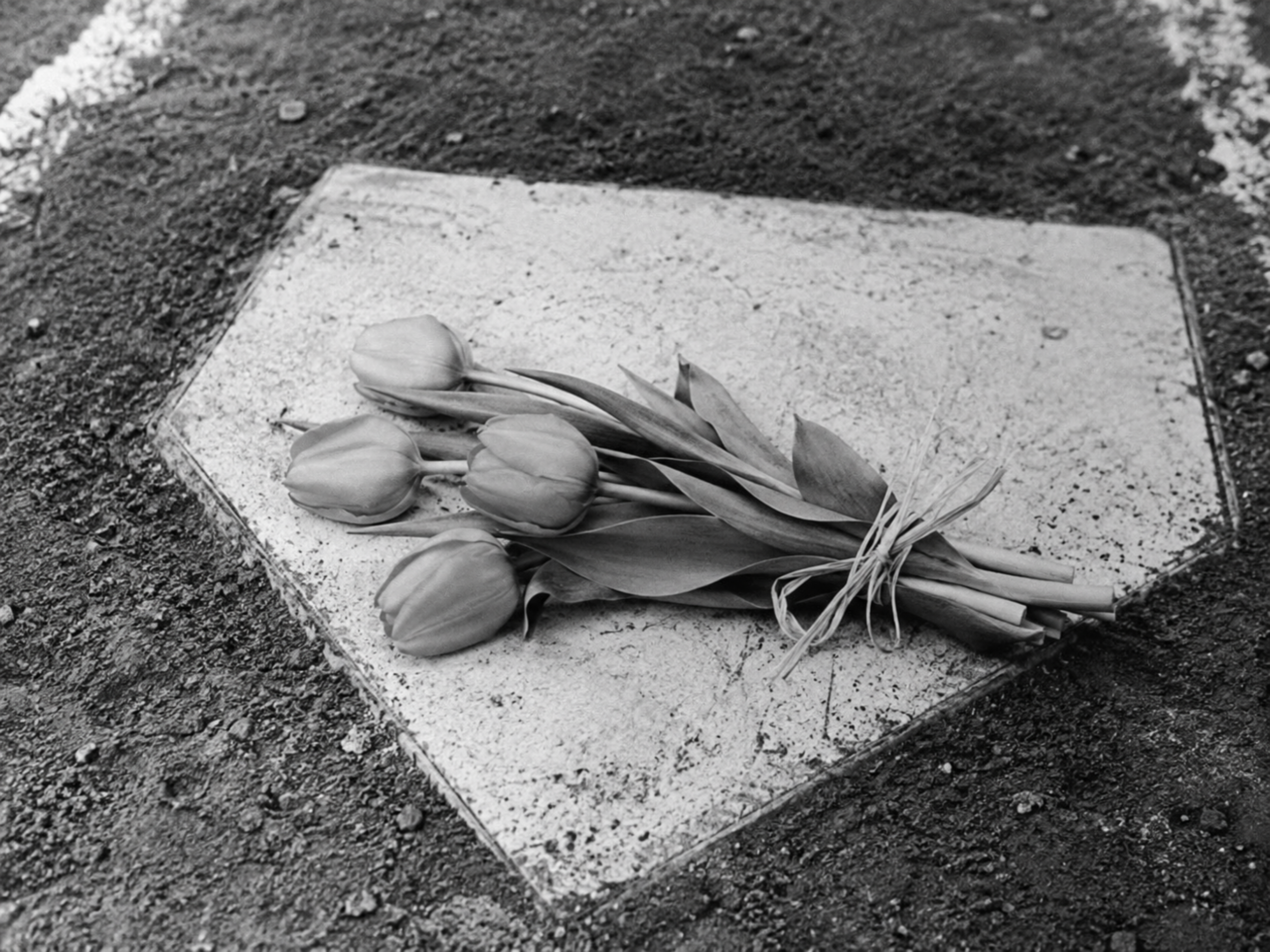 A bouquet of Orange Wonder tulips placed on home plate during pre-game ceremony.