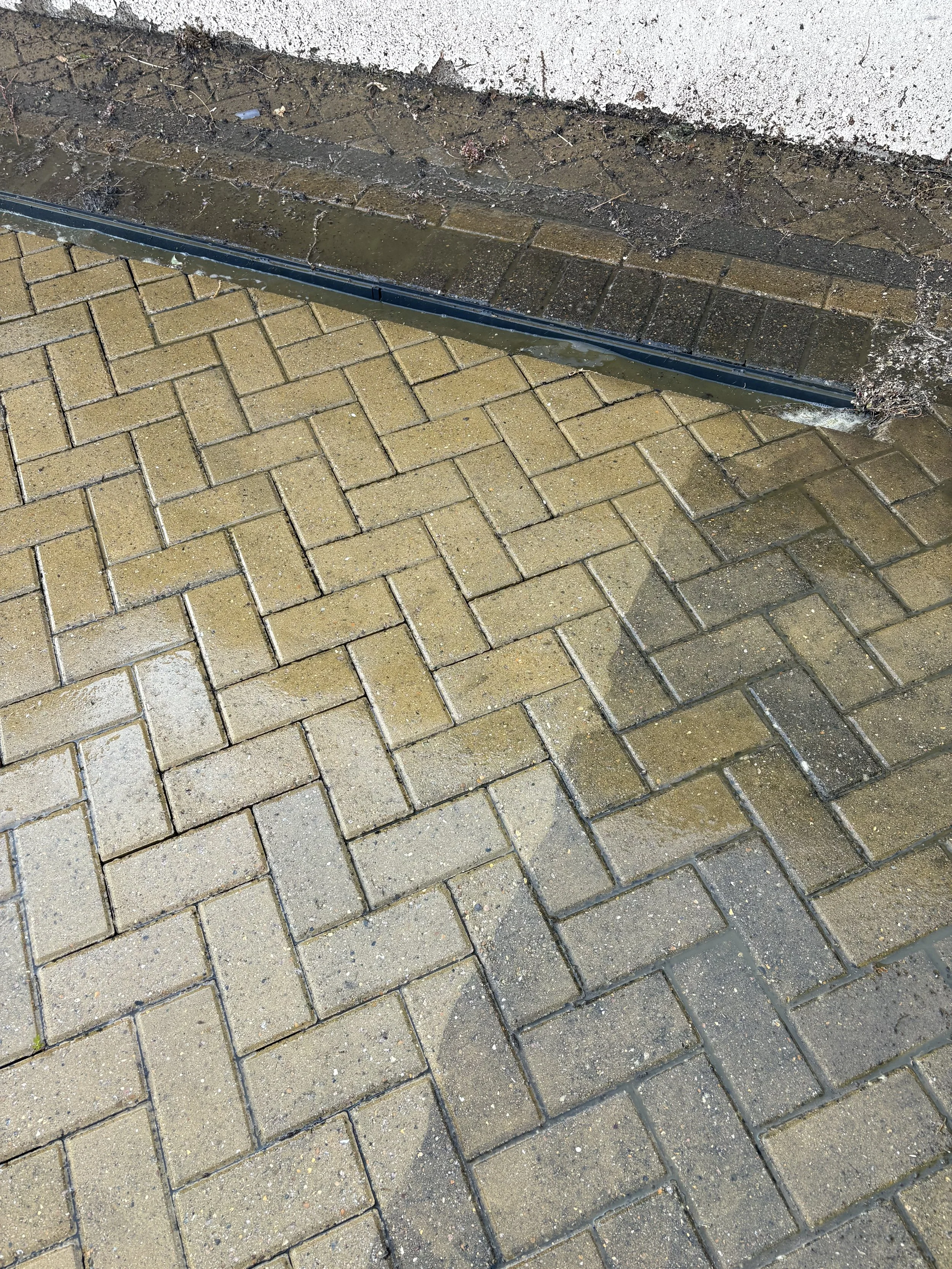 Close-up of a brick sidewalk with a metal drainage grate and soil along the edge, some dirt, and debris around the grate.