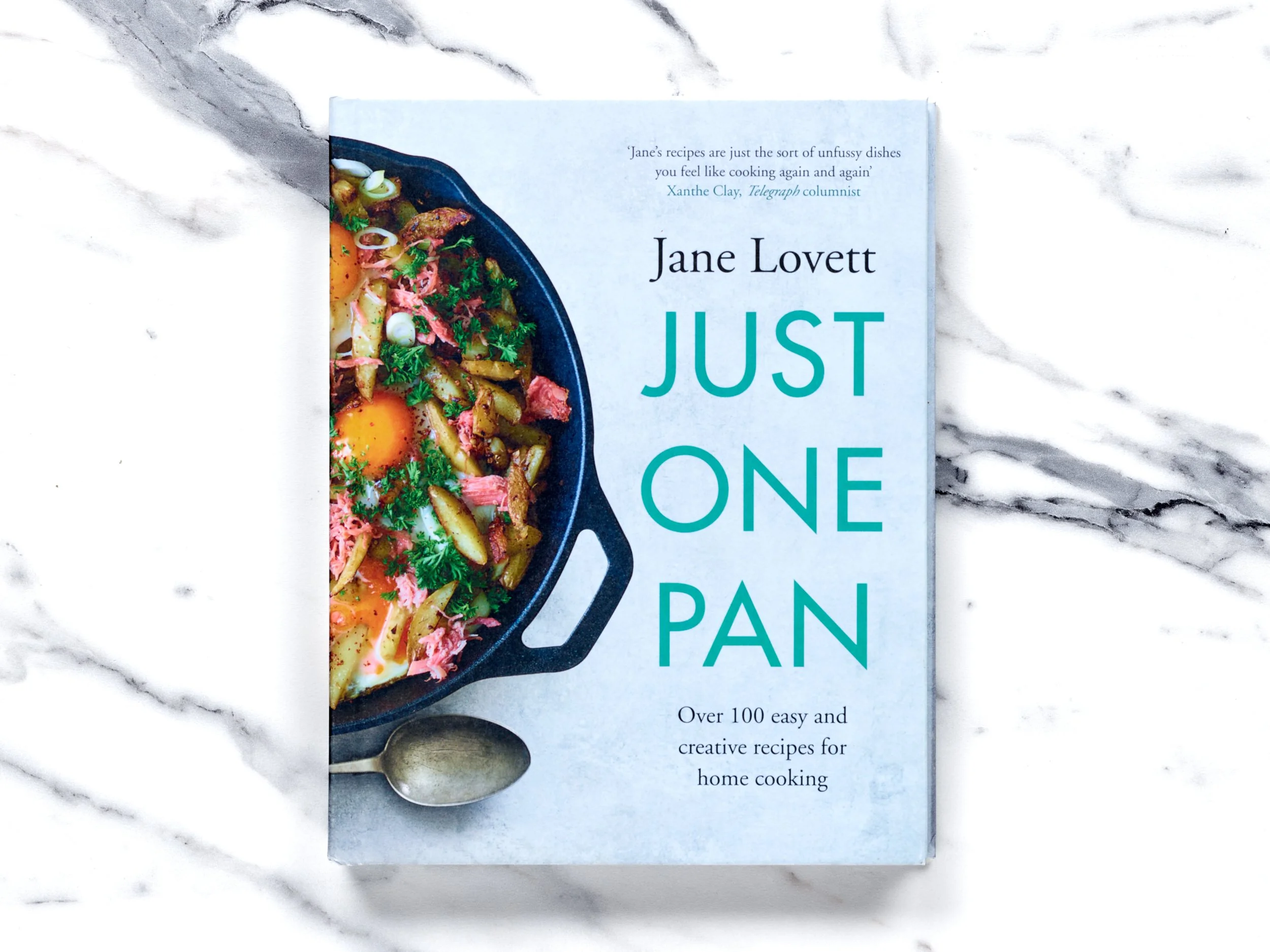 just one pan_01.jpg