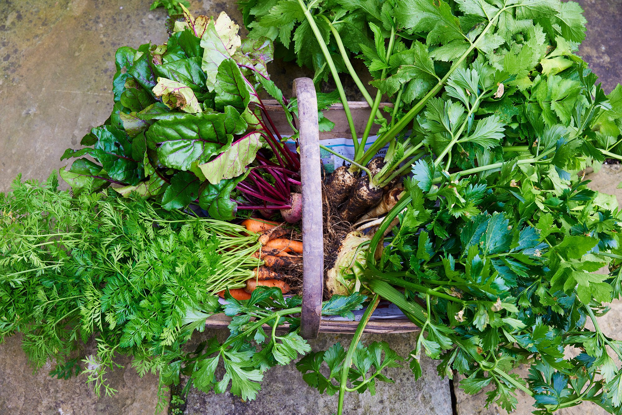 fresh-vegetables.jpg