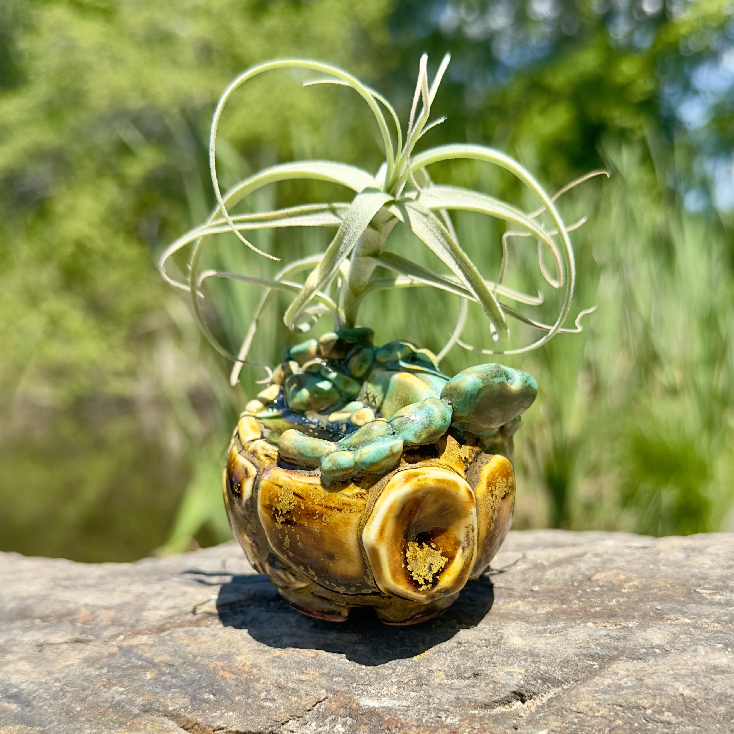 Fairy Homes