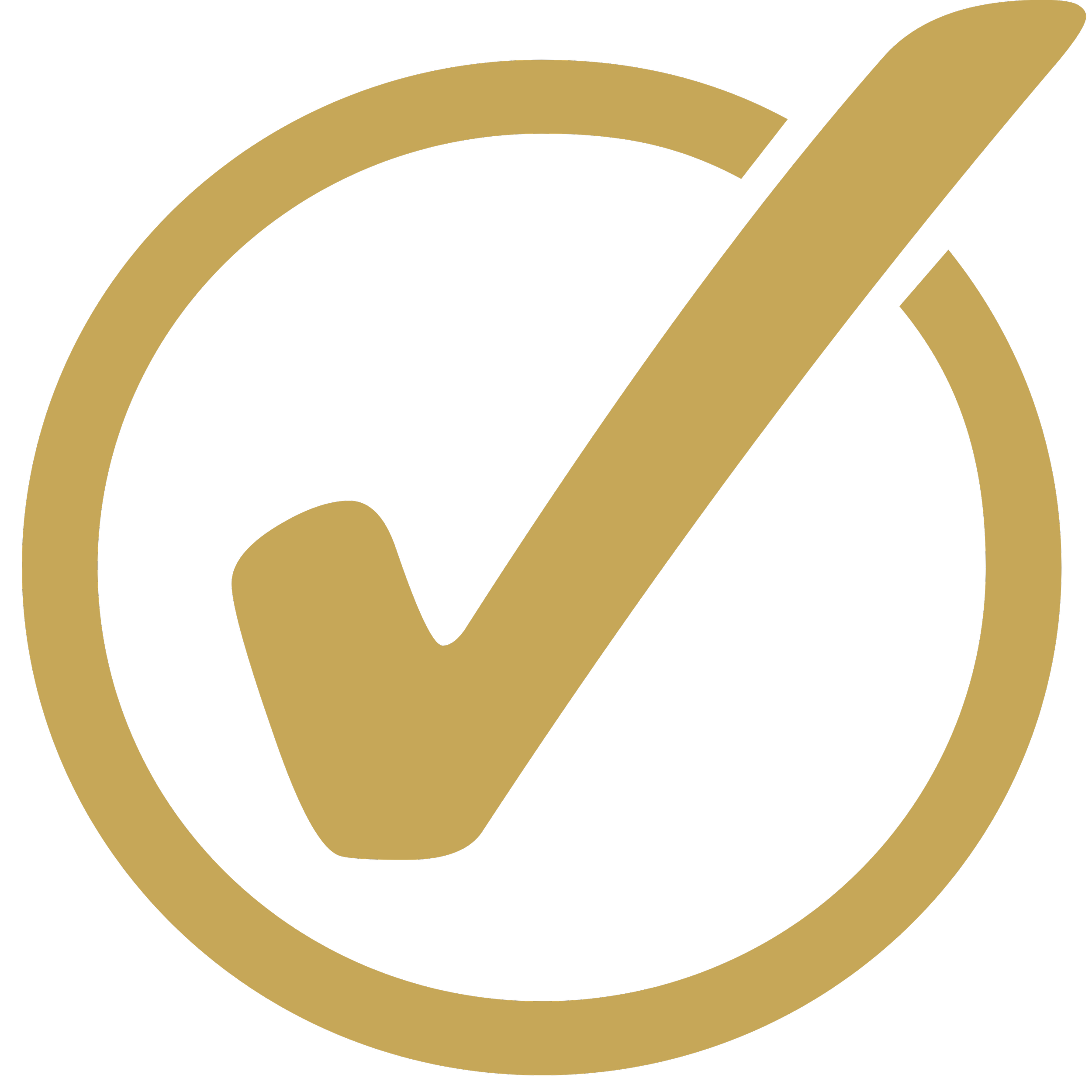 Gold-colored stylized checkmark.