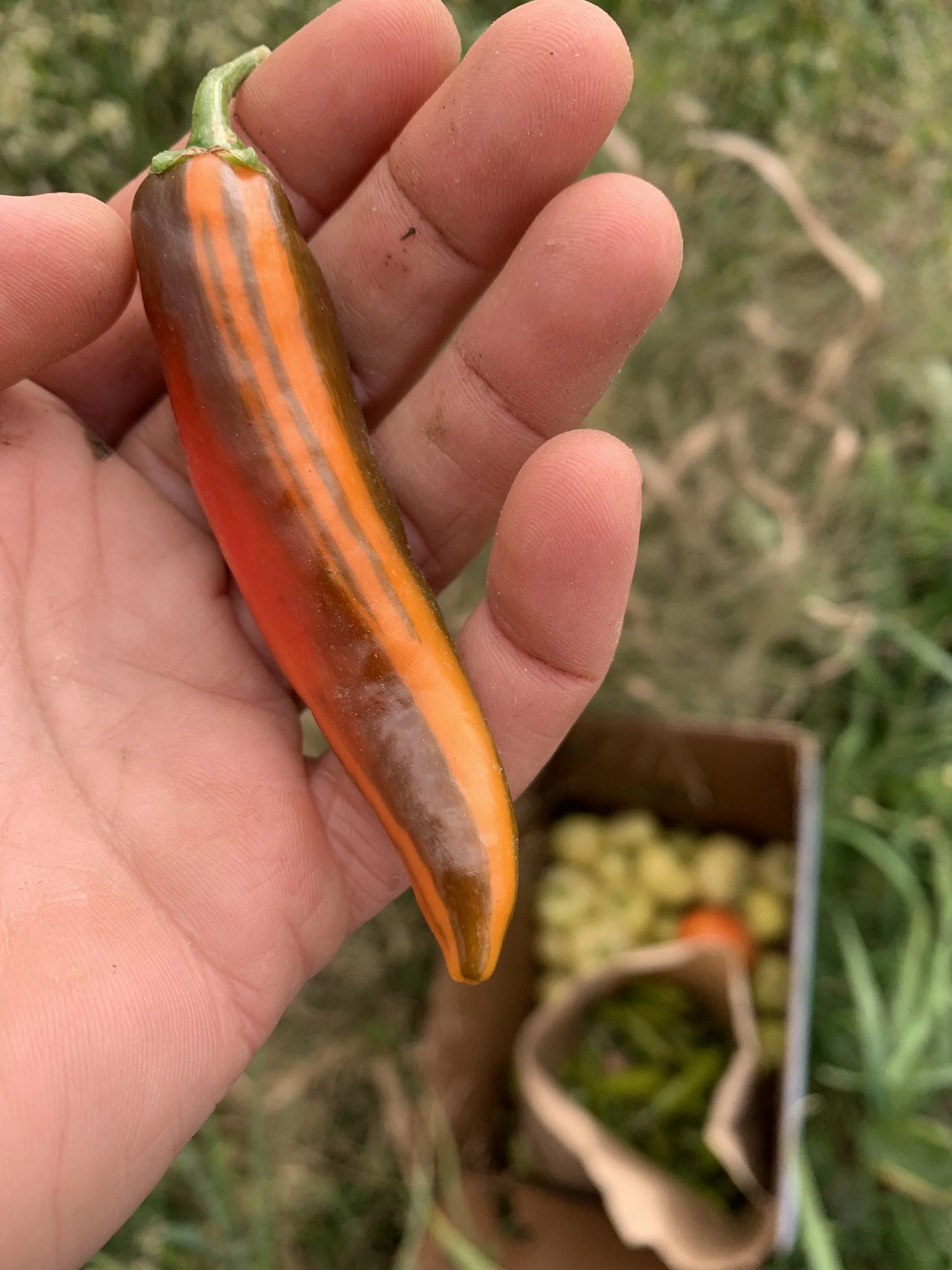 Farm Hands