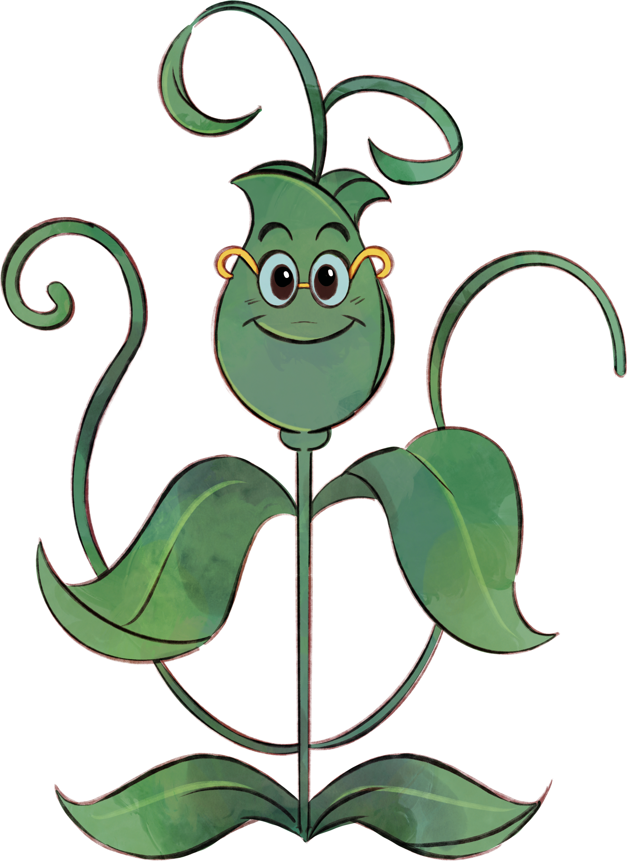 Sweetpea_Front.png