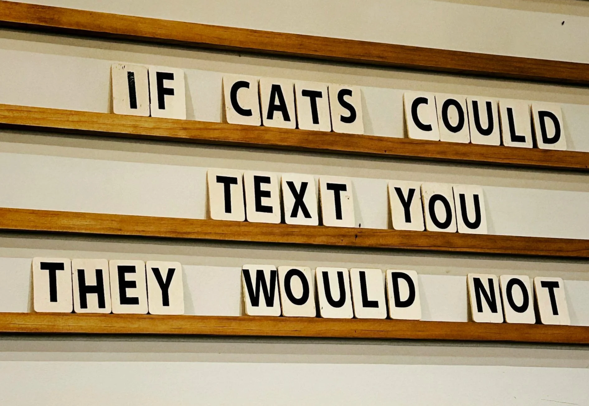 Letters on a wall spell out: "IF CATS COULD TEXT YOU THEY WOULD NO" in black font on white tiles, mounted on wooden boards.