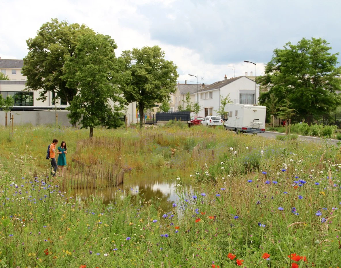 Deux jeunes jeunes filles regardant une rivière dans un parc urbain avec des arbres et des fleurs sauvages, avec des maisons et des voitures en arrière-plan.
