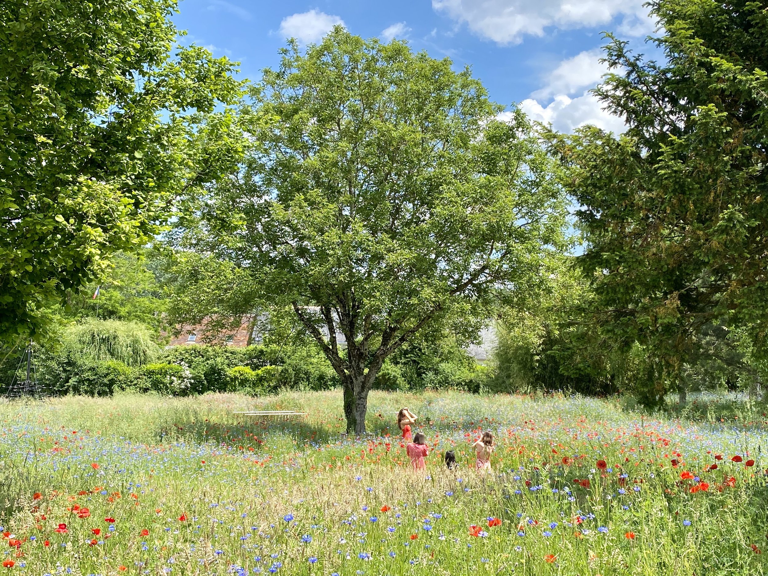 Un grand arbre dans un champ avec des enfants jouant parmi les fleurs colorées en dessous