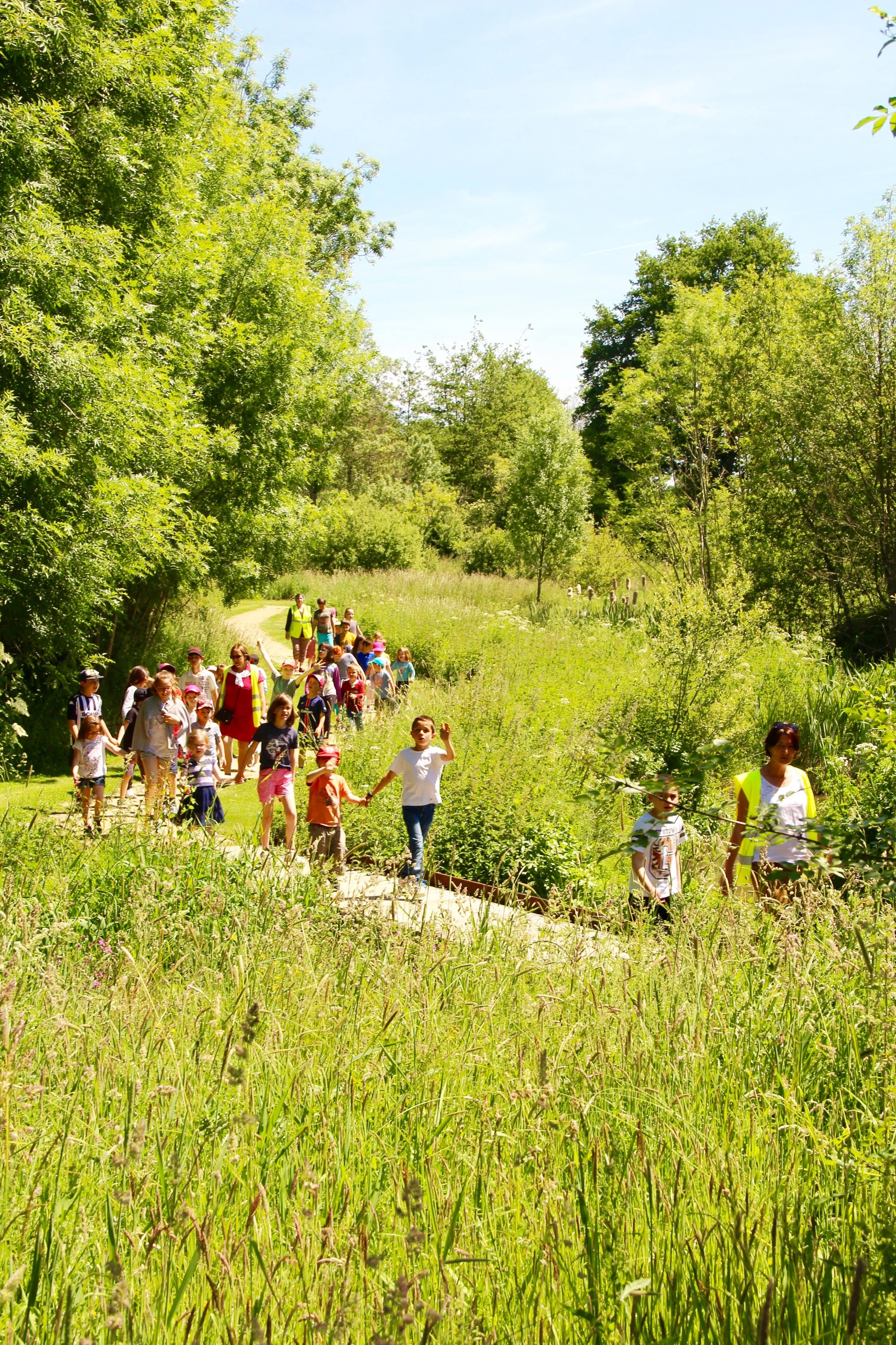 Groupe de personnes, dont beaucoup d'enfants, marchant dans un sentier à travers une forêt verdoyante sous un ciel bleu clair.