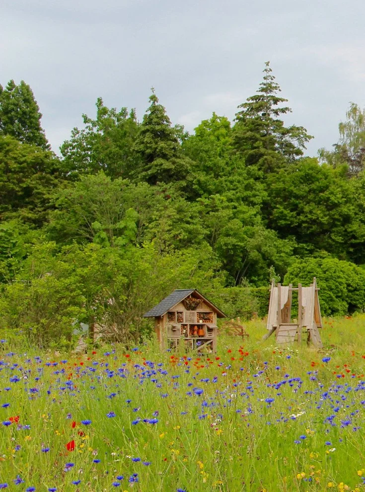 Un champ avec des fleurs sauvages colorées, un petit abri en bois et une structure en bois à côté, avec un arrière-plan de forêt dense et un ciel nuageux.