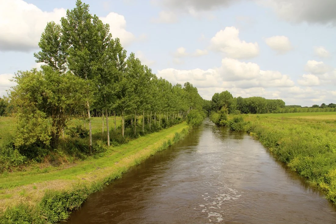 Une rivière bordée d'arbres et d'herbes dans un paysage rural avec un ciel partiellement nuageux.