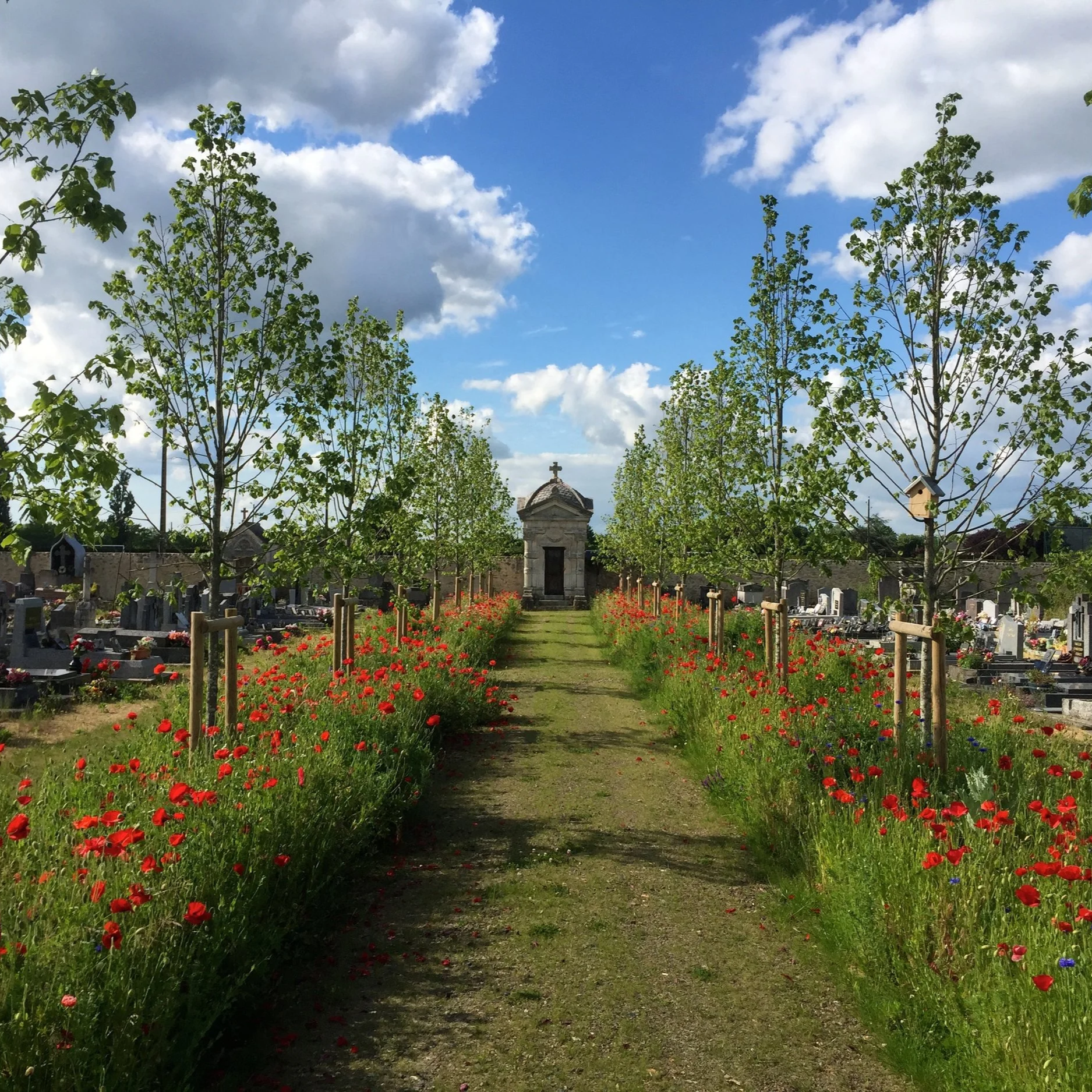 Sentier au milieu de fleurs rouges dans un cimetière, avec des arbres vert vif, un petit bâtiment religieux en pierre avec une croix, un ciel partiellement nuageux, un arbre avec une petite maison à oiseaux en bois à droite.