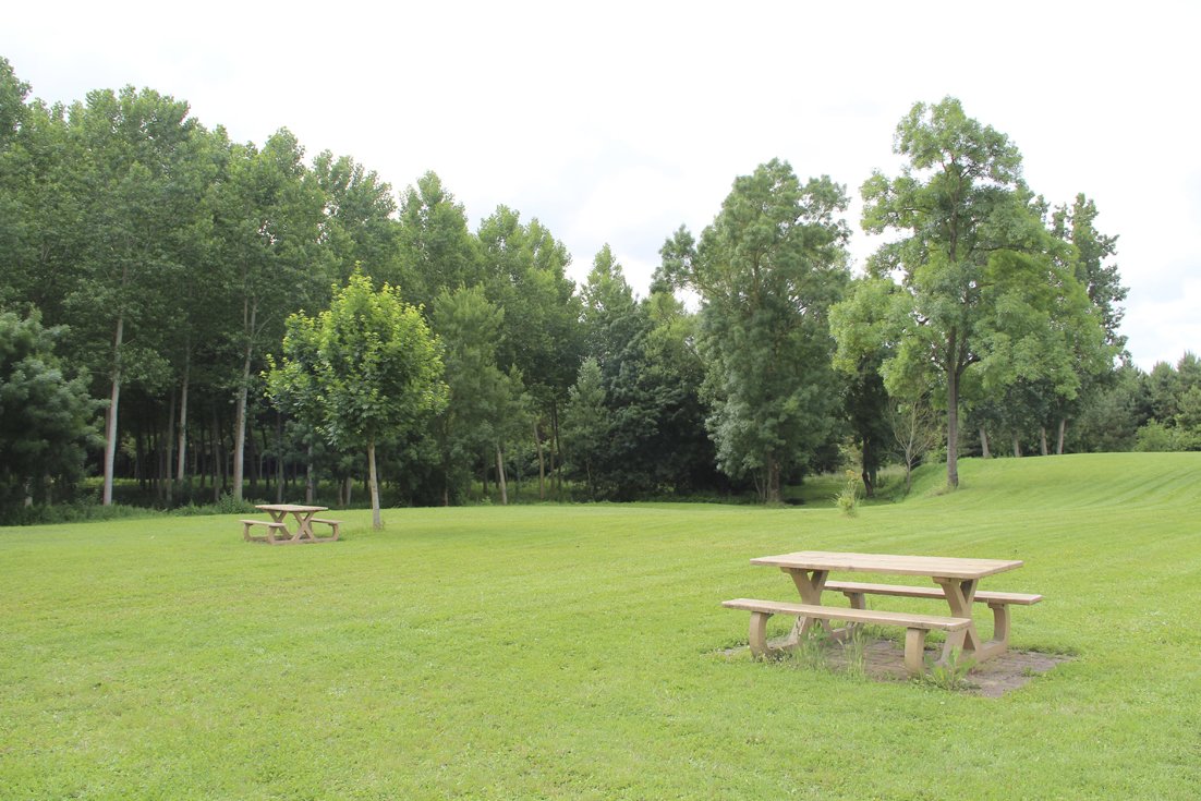 Un parc avec de l'herbe verte, des arbres et des tables de pique-nique en bois