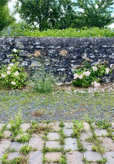 Un mur en pierre avec des fleurs roses et blanches à sa base, ainsi qu'une surface pavée en pierre avec des herbes qui poussent entre les tessons, dans un environnement extérieur verdoyant.