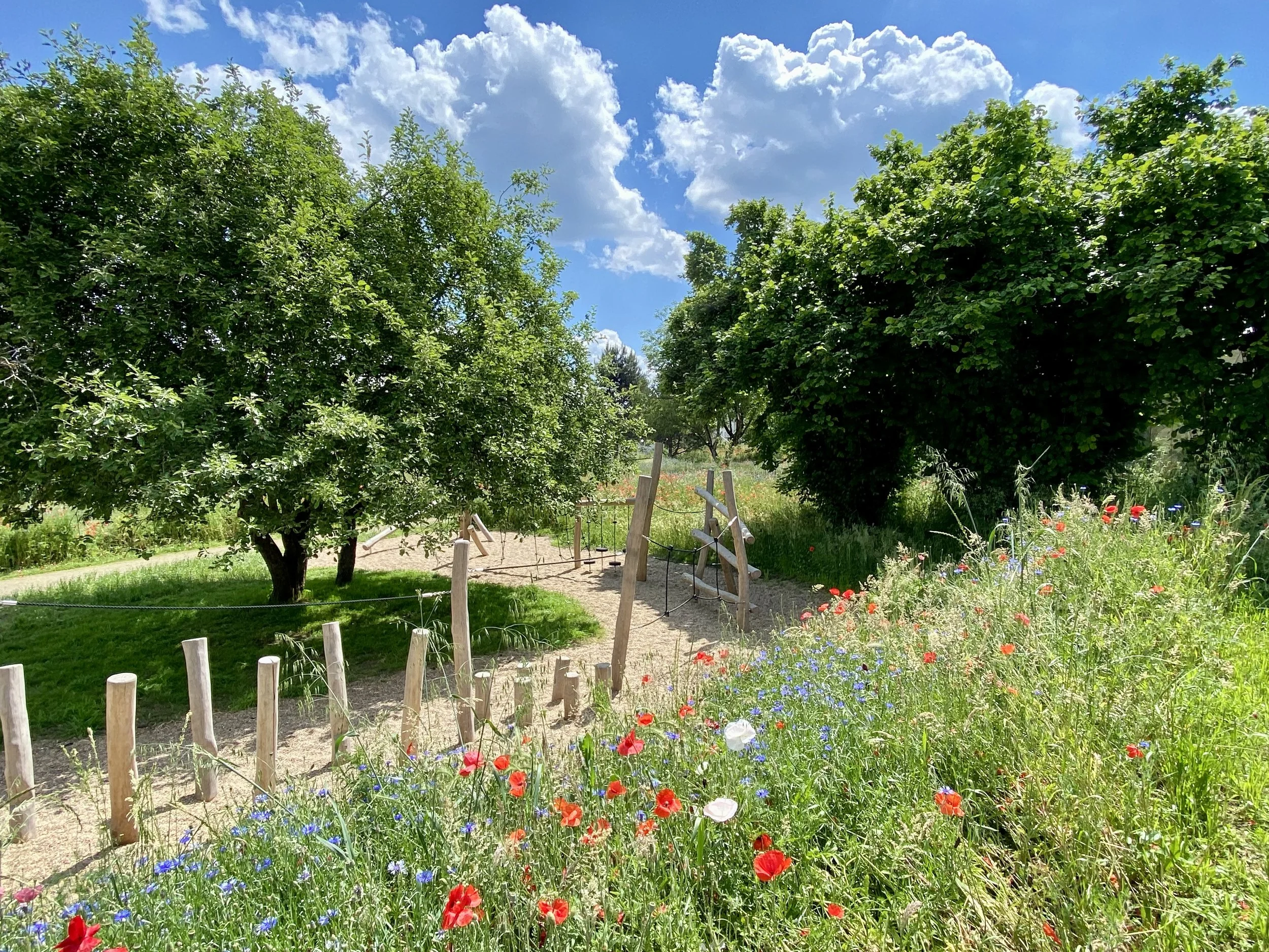 Jardin avec des arbres, des fleurs colorées et un ciel bleu avec des nuages blancs.