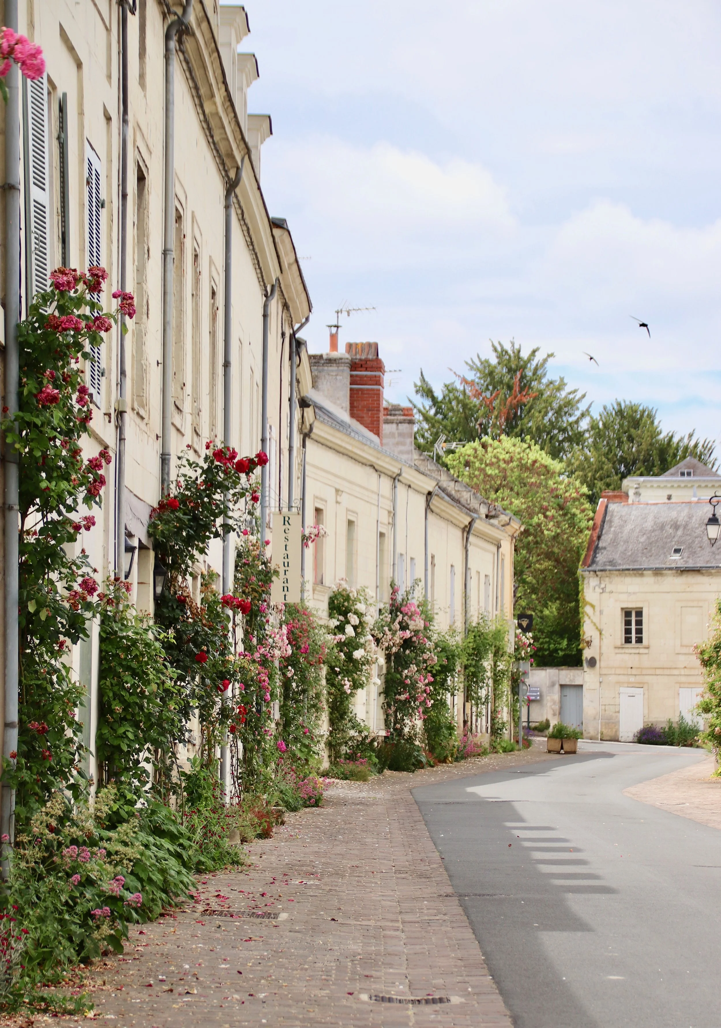 Rue pavée bordée de maisons anciennes avec des volets en bois, des fleurs grimpantes colorées et des arbres au fond, sous un ciel légèrement nuageux.