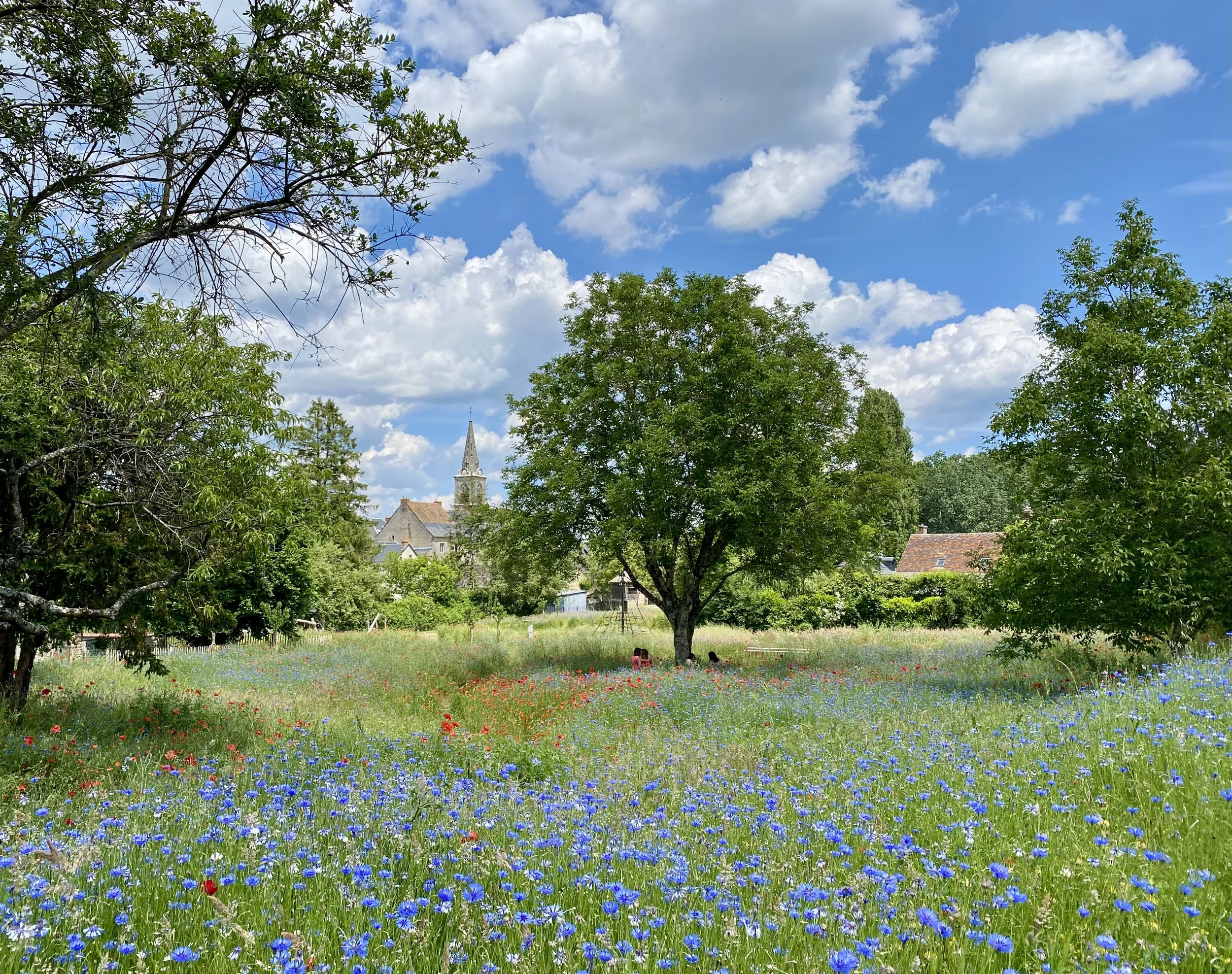 Un champ de fleurs colorées avec des arbres verts, un village avec des toits en tuiles et une église en arrière-plan sous un ciel bleu avec des nuages blancs.