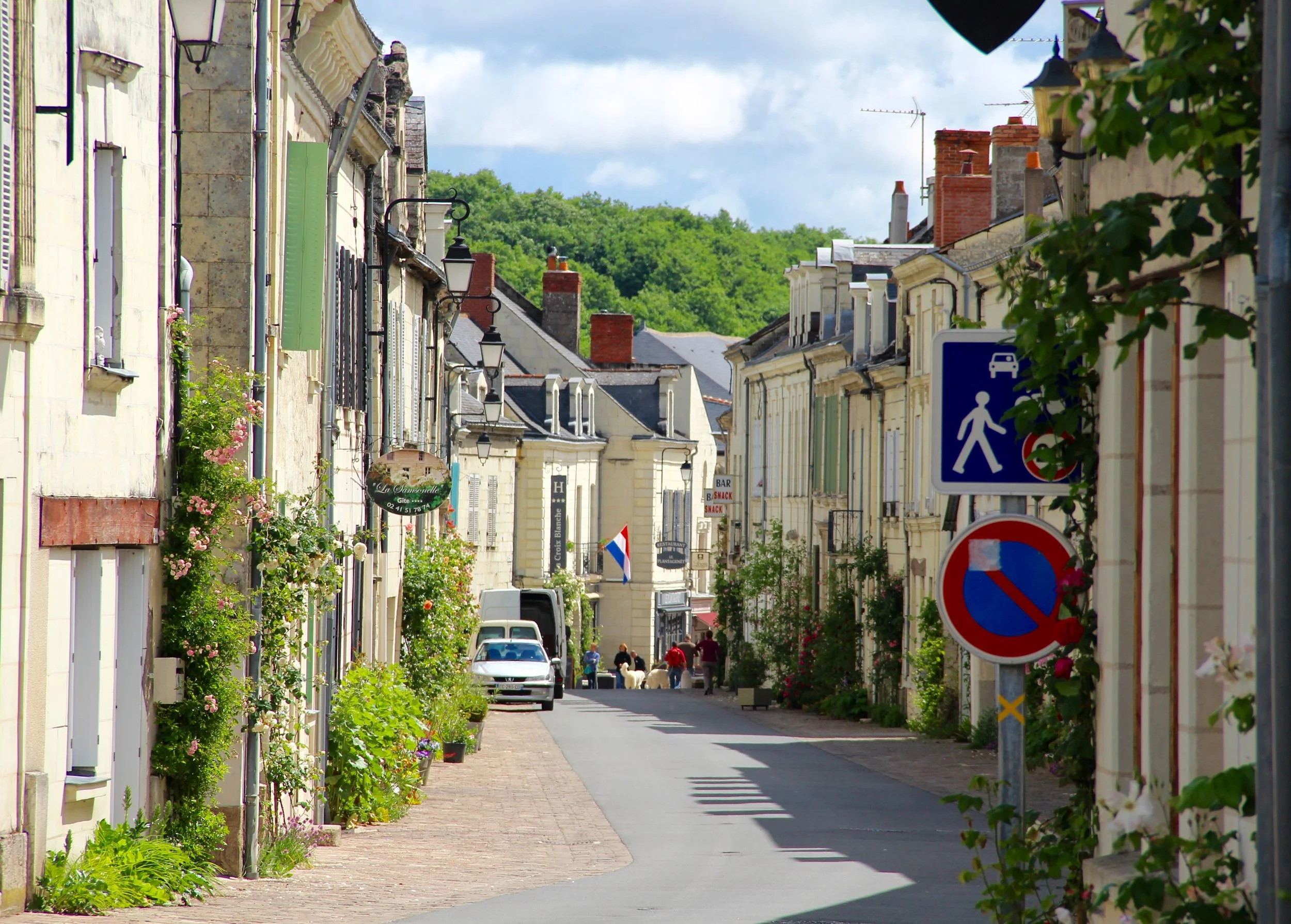 Rue résidentielle dans une ville, avec des maisons aux façades en pierre et en plâtre, des lampadaires, des voitures garées, des panneaux de signalisation, des fiers de fleurs, et un ciel bleu avec quelques nuages.