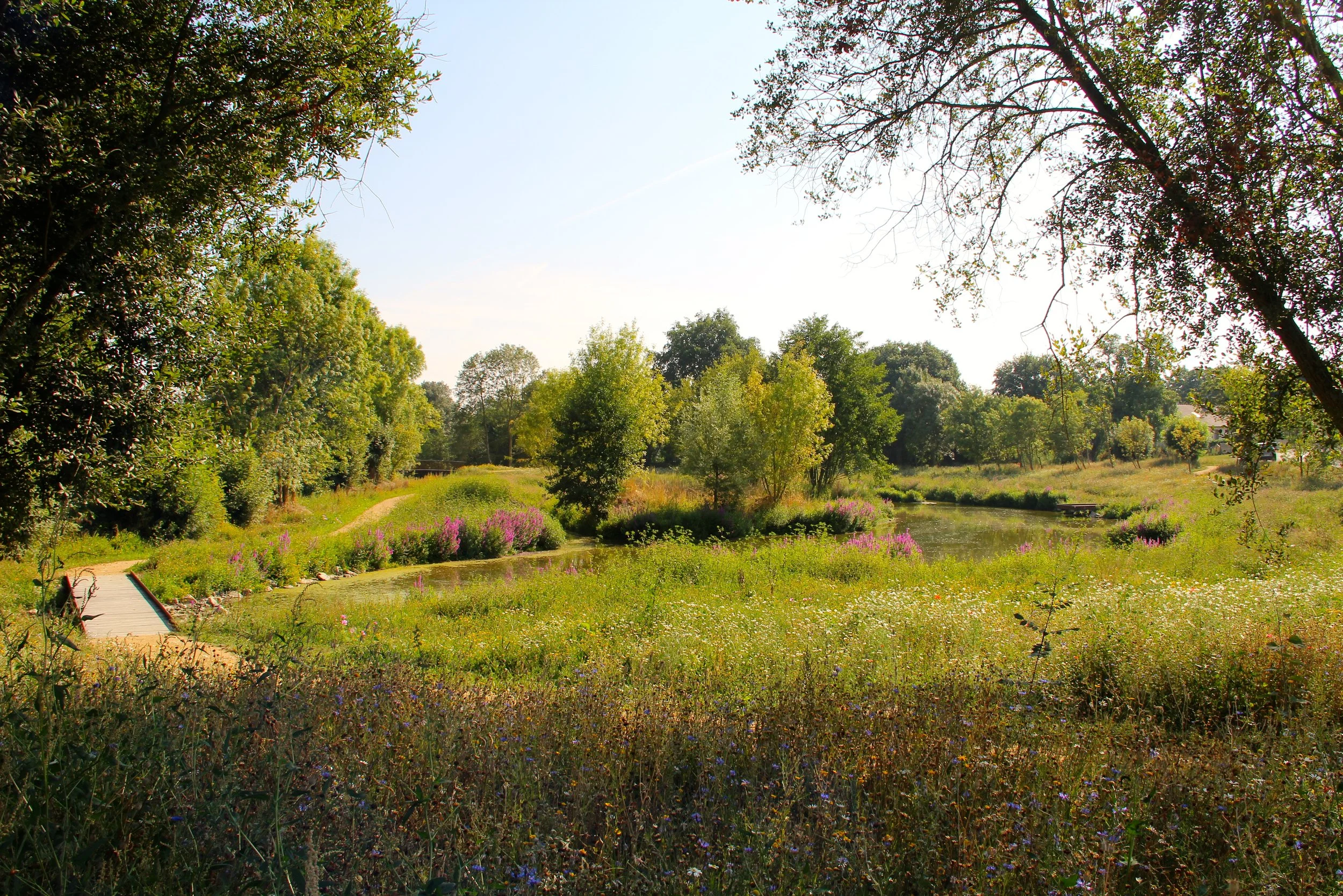 Un paysage de parc avec un lac, des arbres verts et des fleurs, sous un ciel clair.
