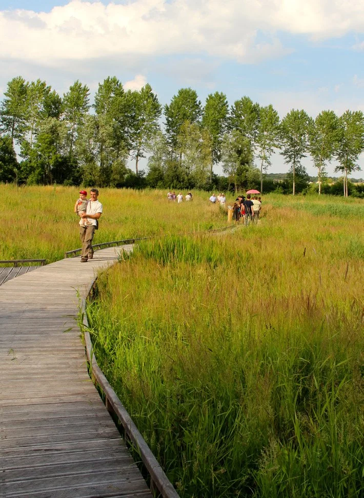 Un chemin en bois serpentant à travers une prairie verte, avec plusieurs personnes marchant et un couple avec un enfant au premier plan, sous un ciel partiellement nuageux, entouré d'arbres en arrière-plan.