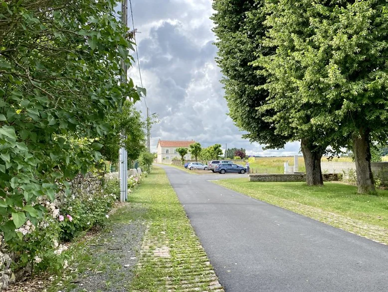 Rue pavée avec arbres, voitures, maison en arrière-plan, ciel nuageux par temps pluvieux.